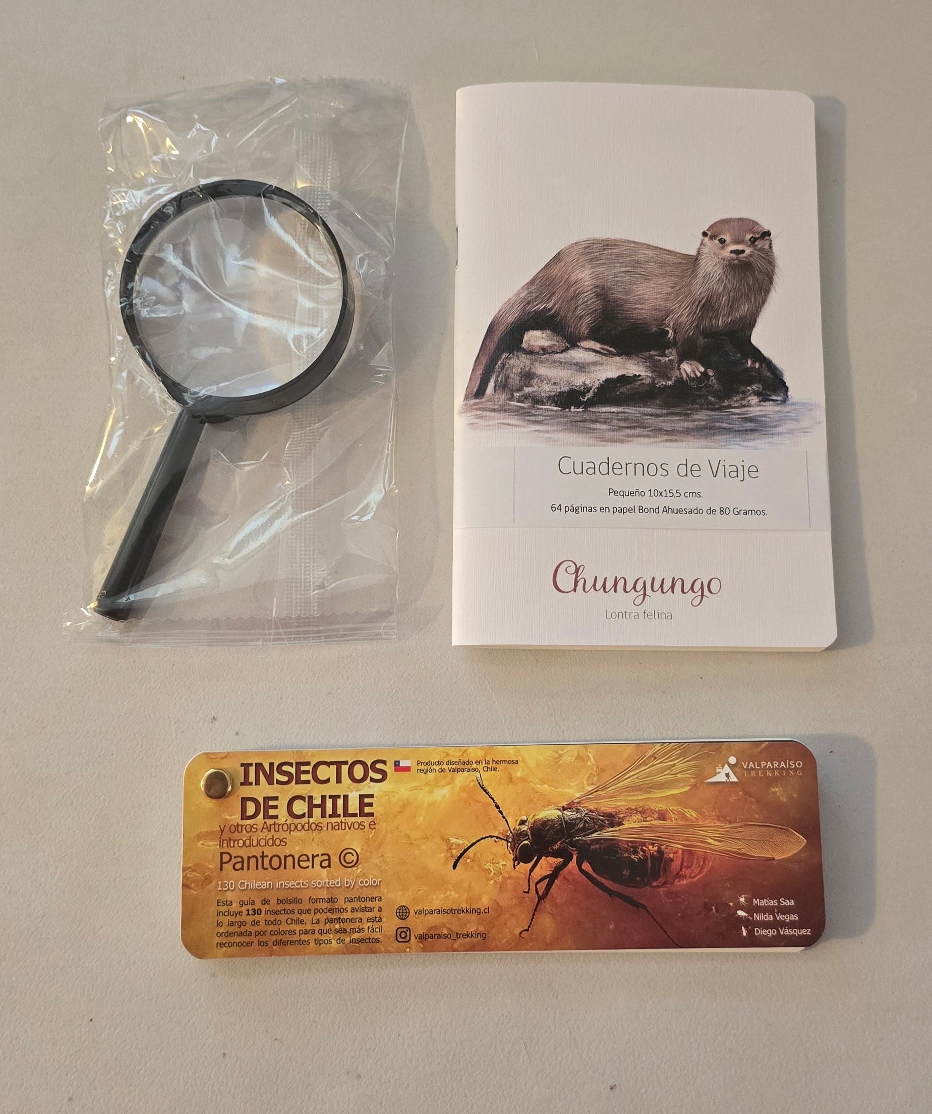 Pack observador de Insectos