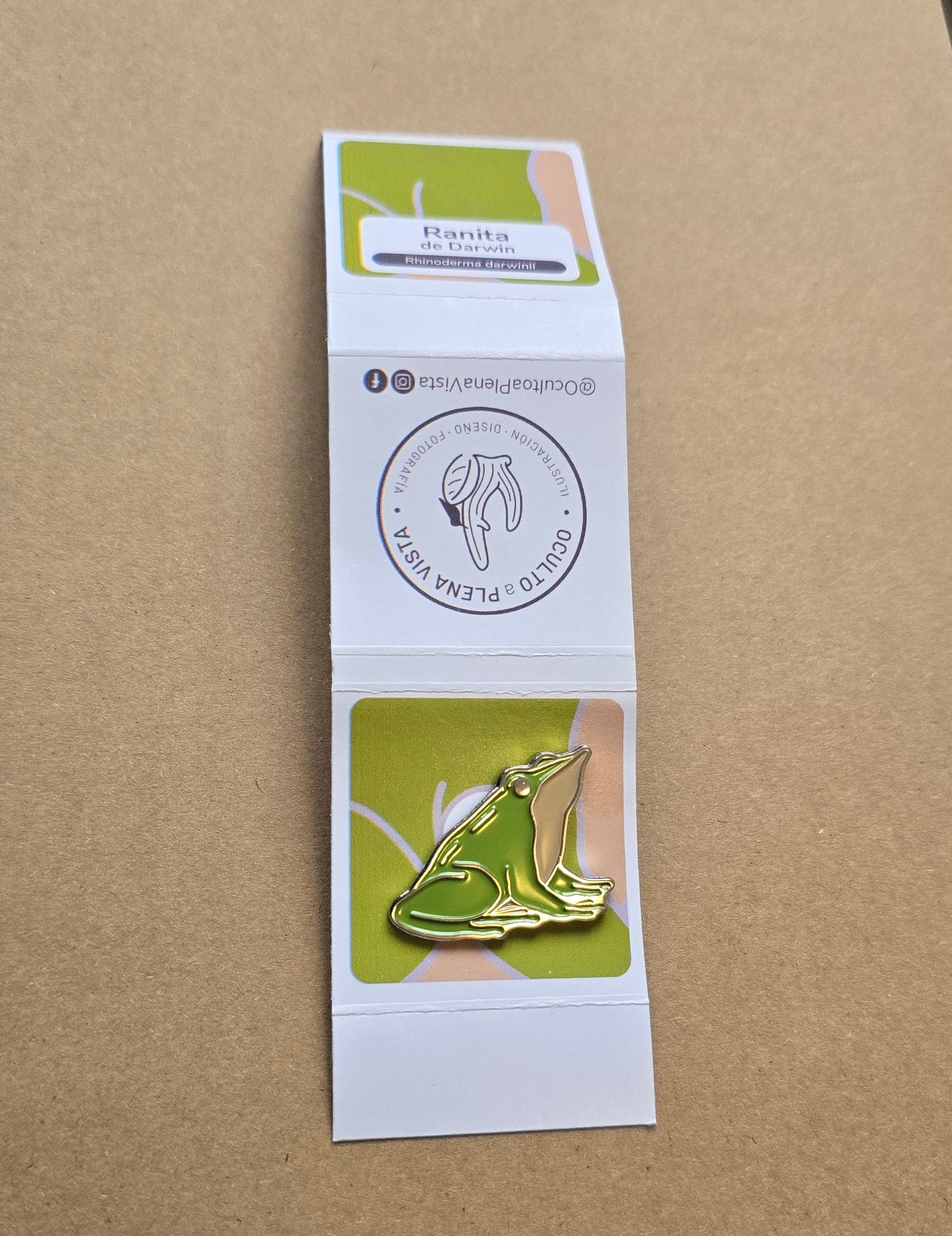 Pin Ranita de darwin