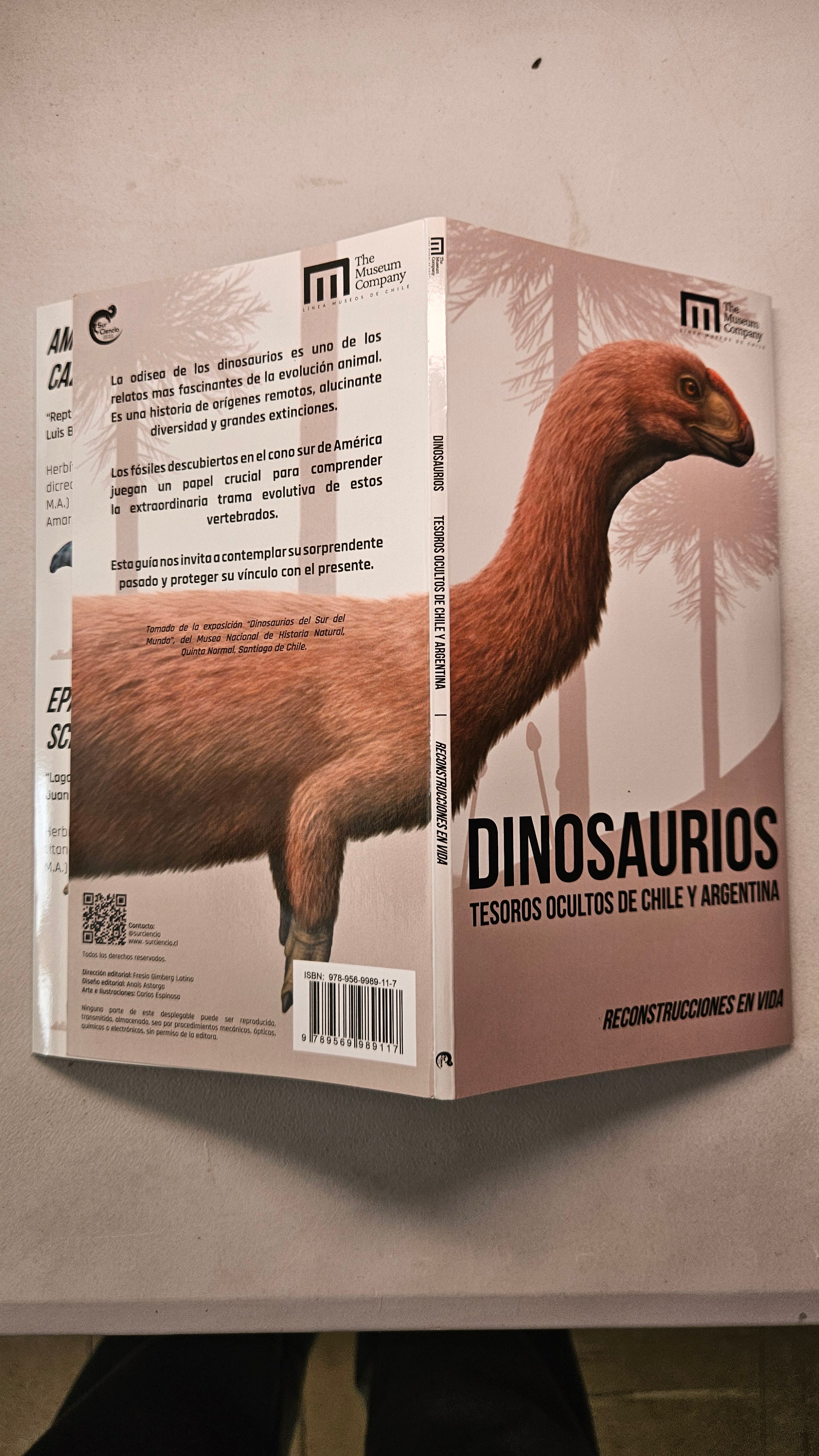 Guía de Dinosaurios
