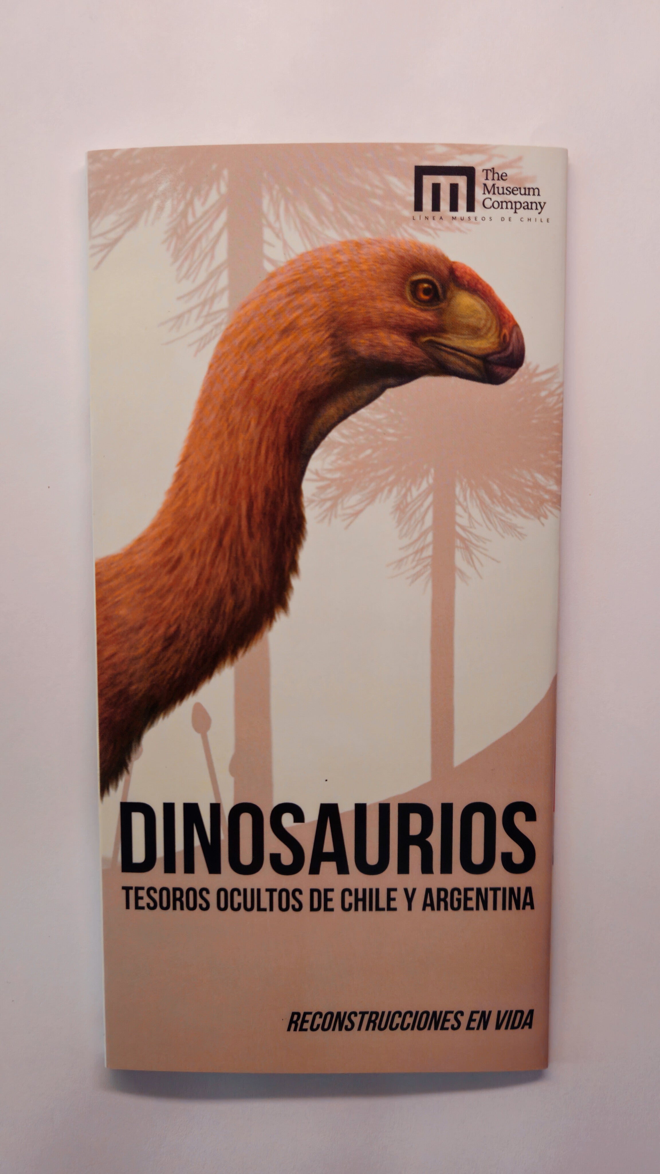 Guía de Dinosaurios