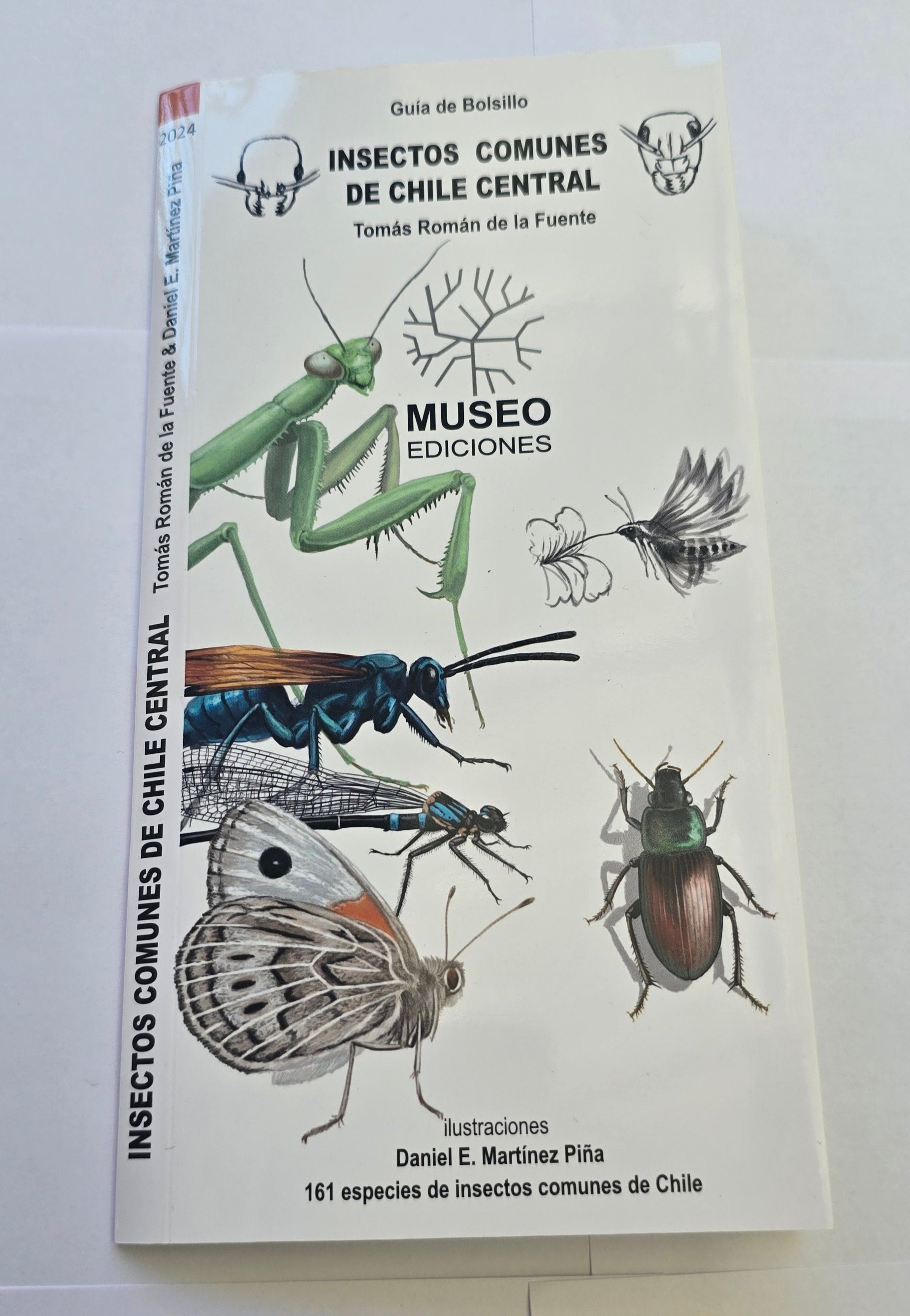 Guia insectos de Chile