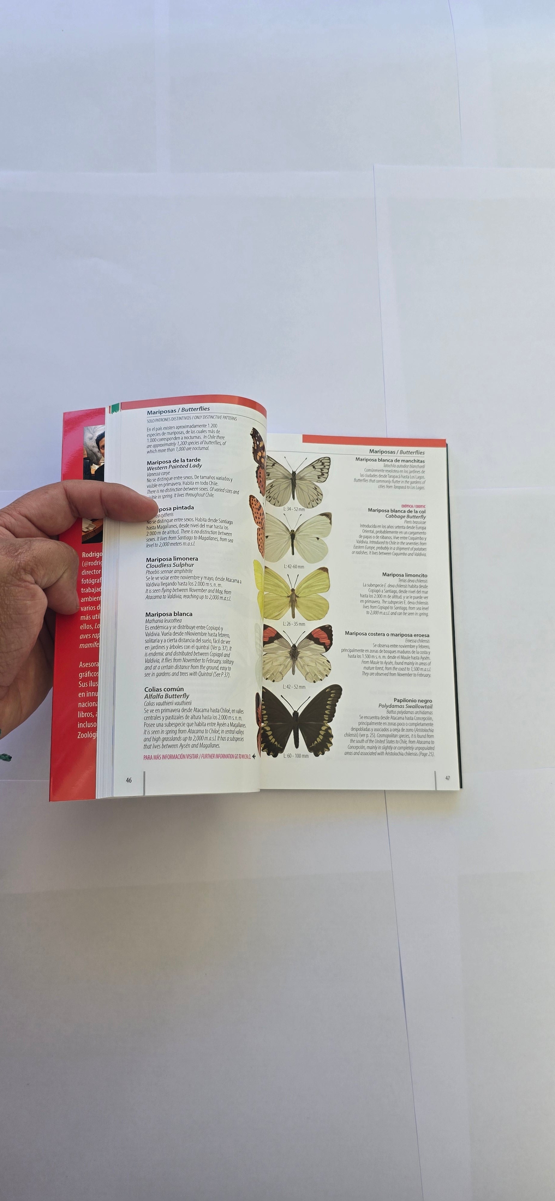 Guia rápida flora, fauna y funga