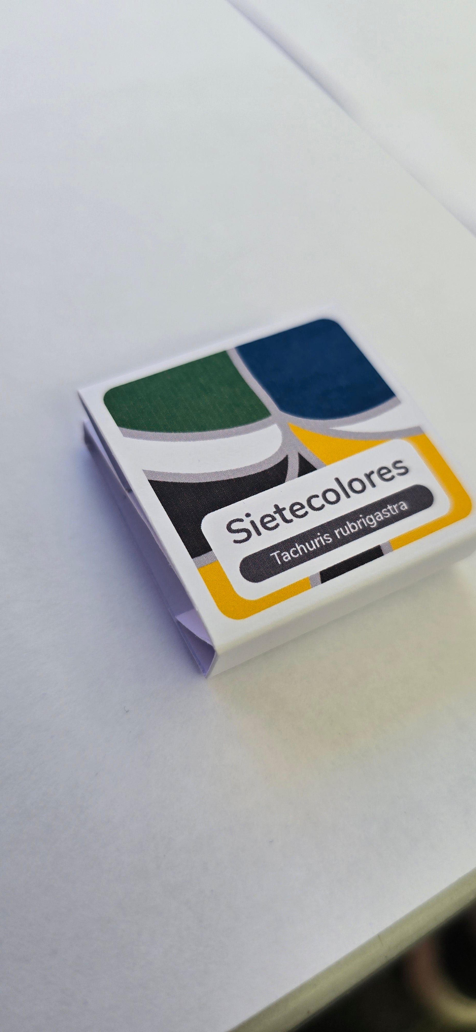 Pin Sietecolores