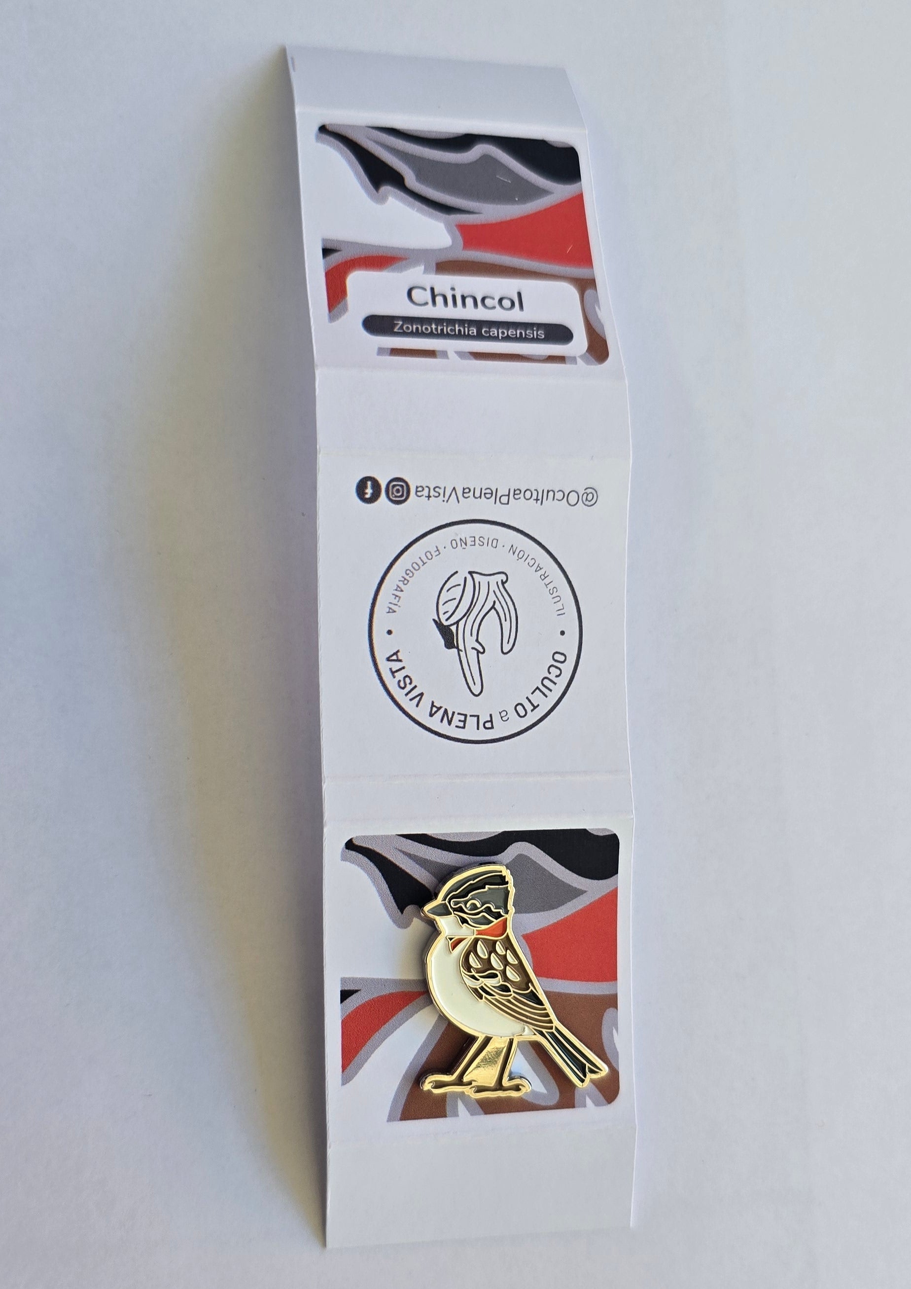 Pin Chincol