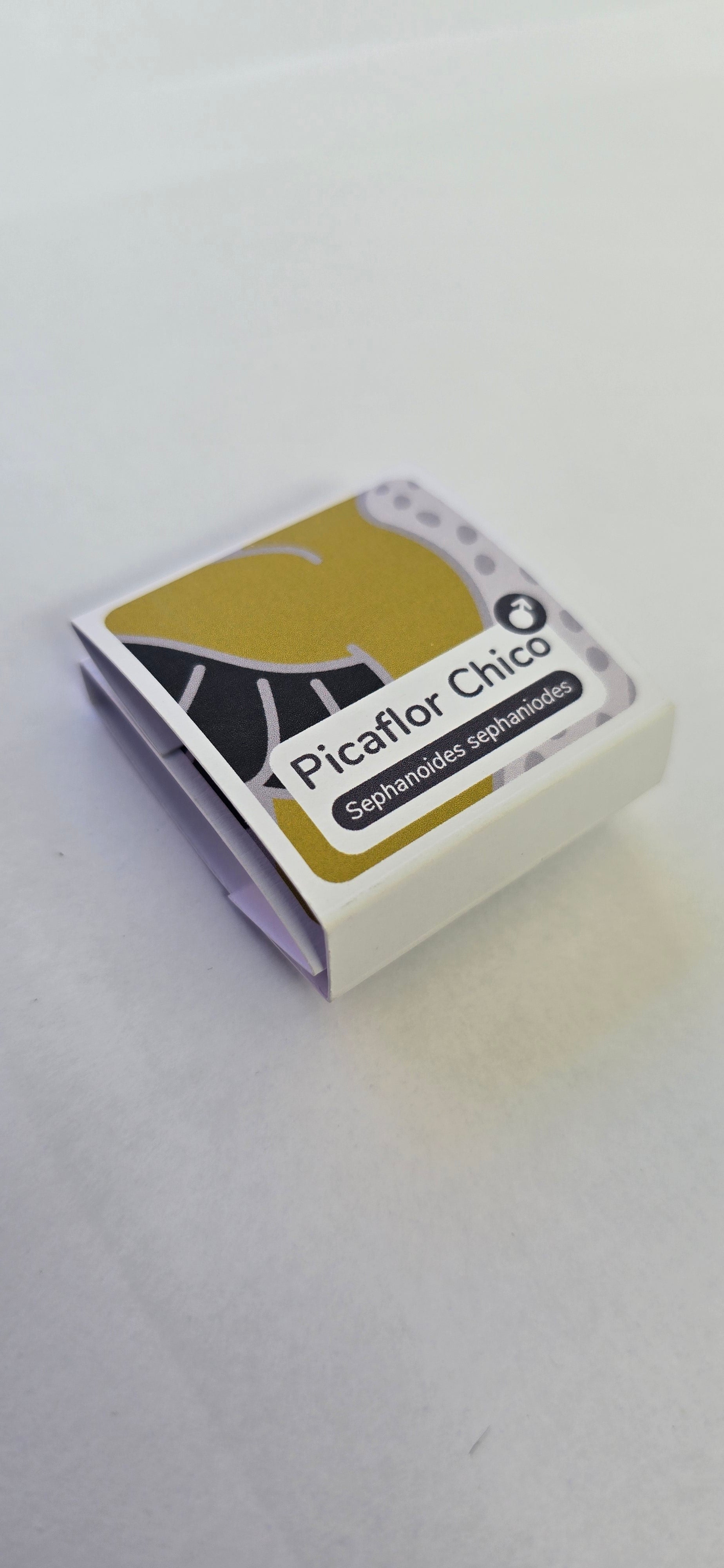 Pin Picaflor Chico ♂