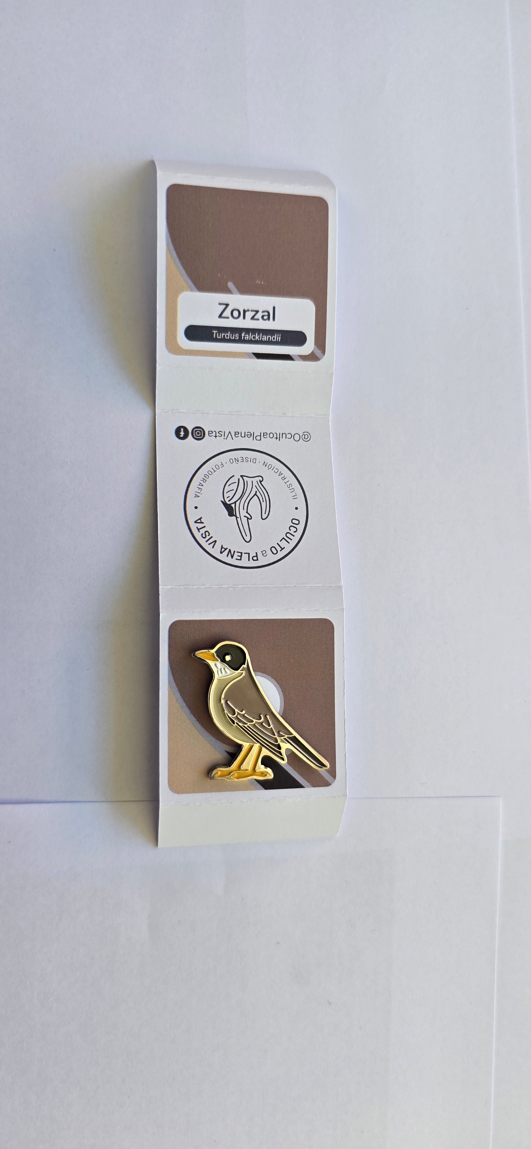 Pin Zorzal