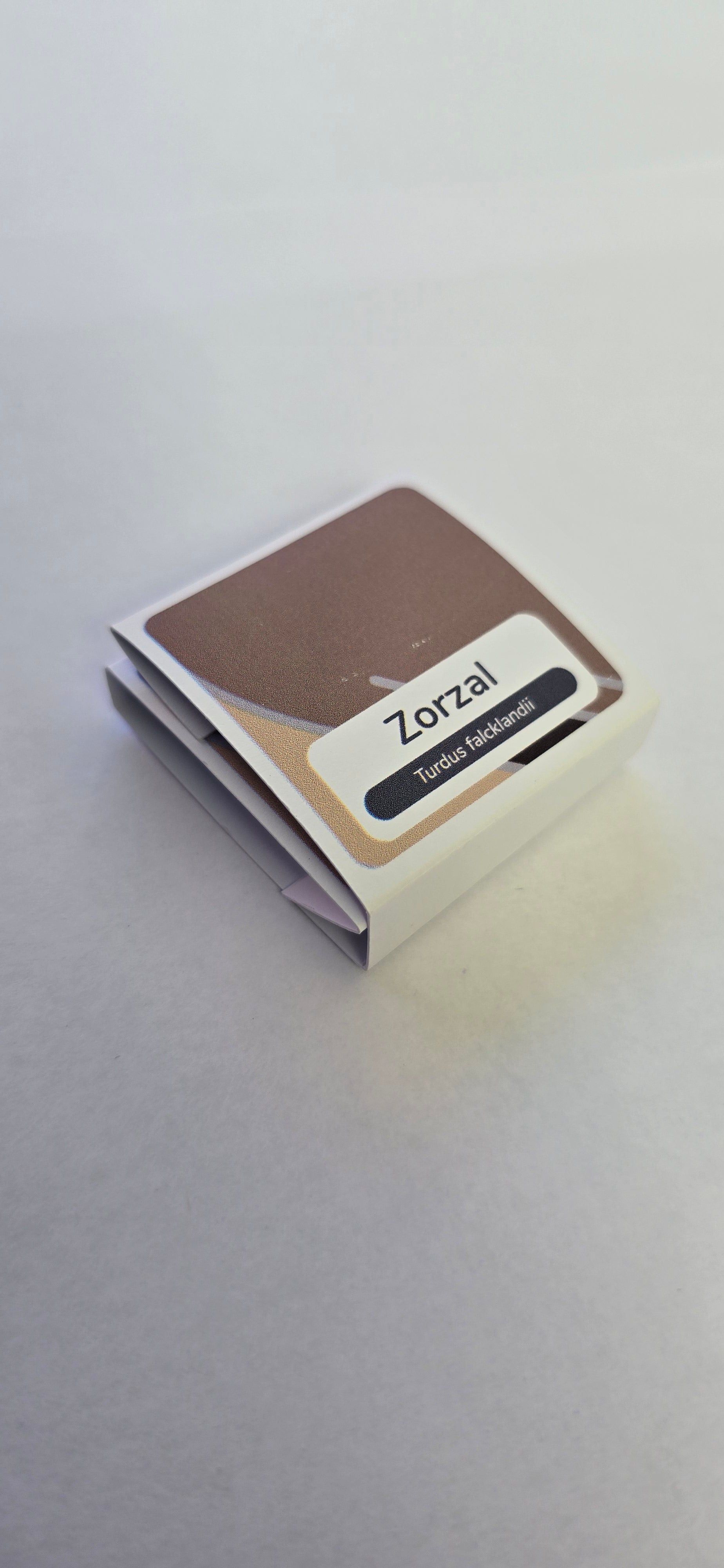Pin Zorzal