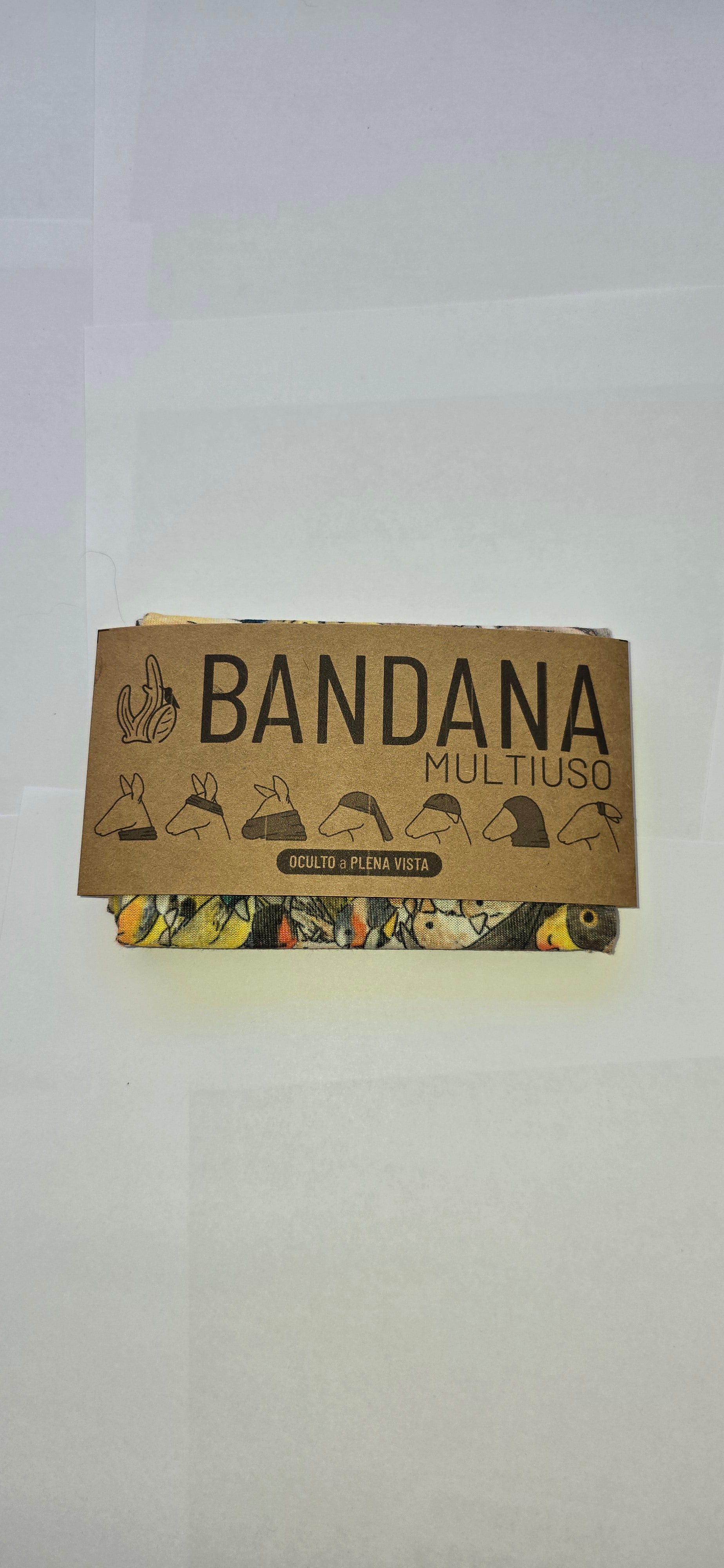 Bandana aves de Chile 2