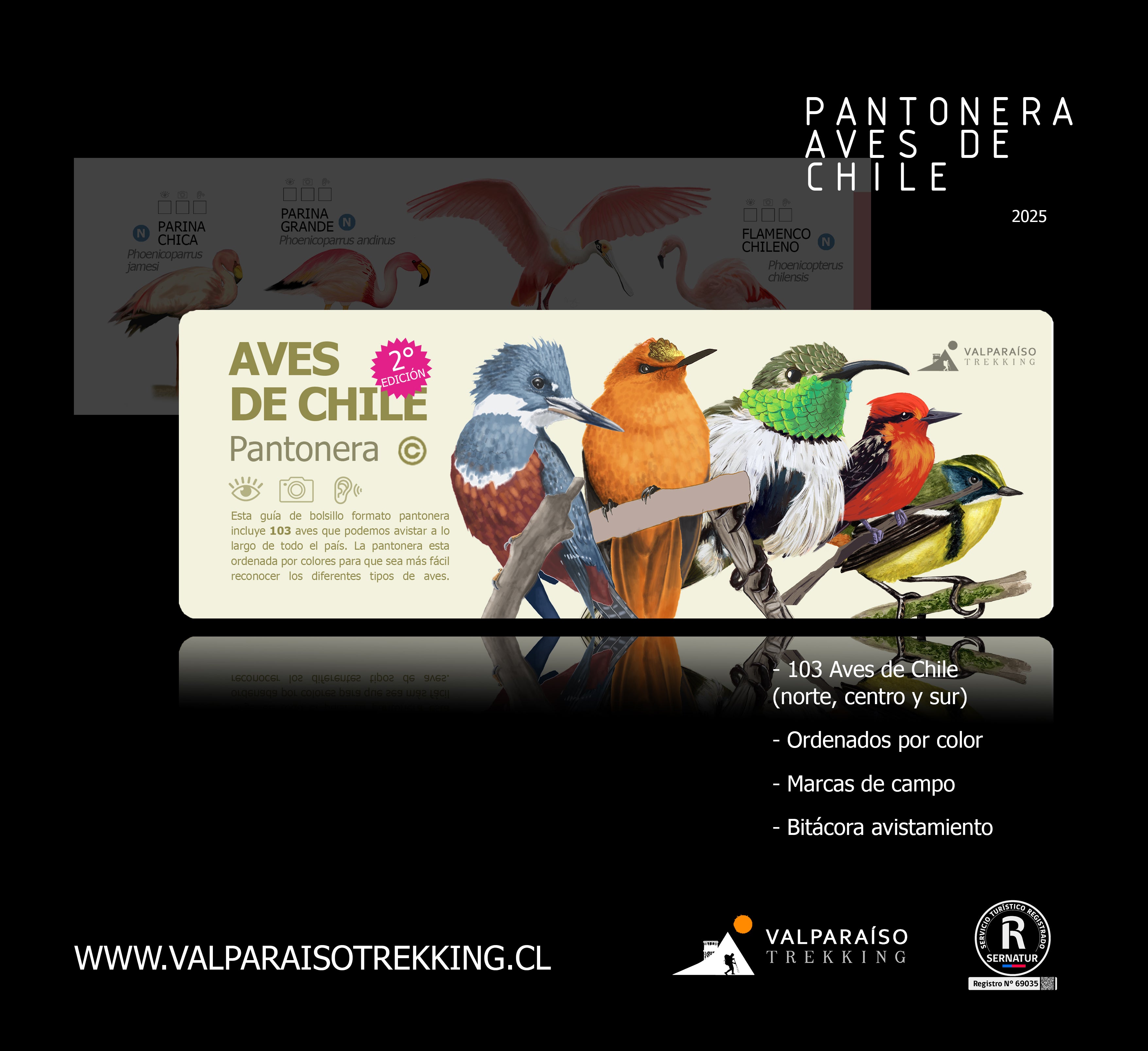 Pantonera Aves de Chile 2°EDICIÓN