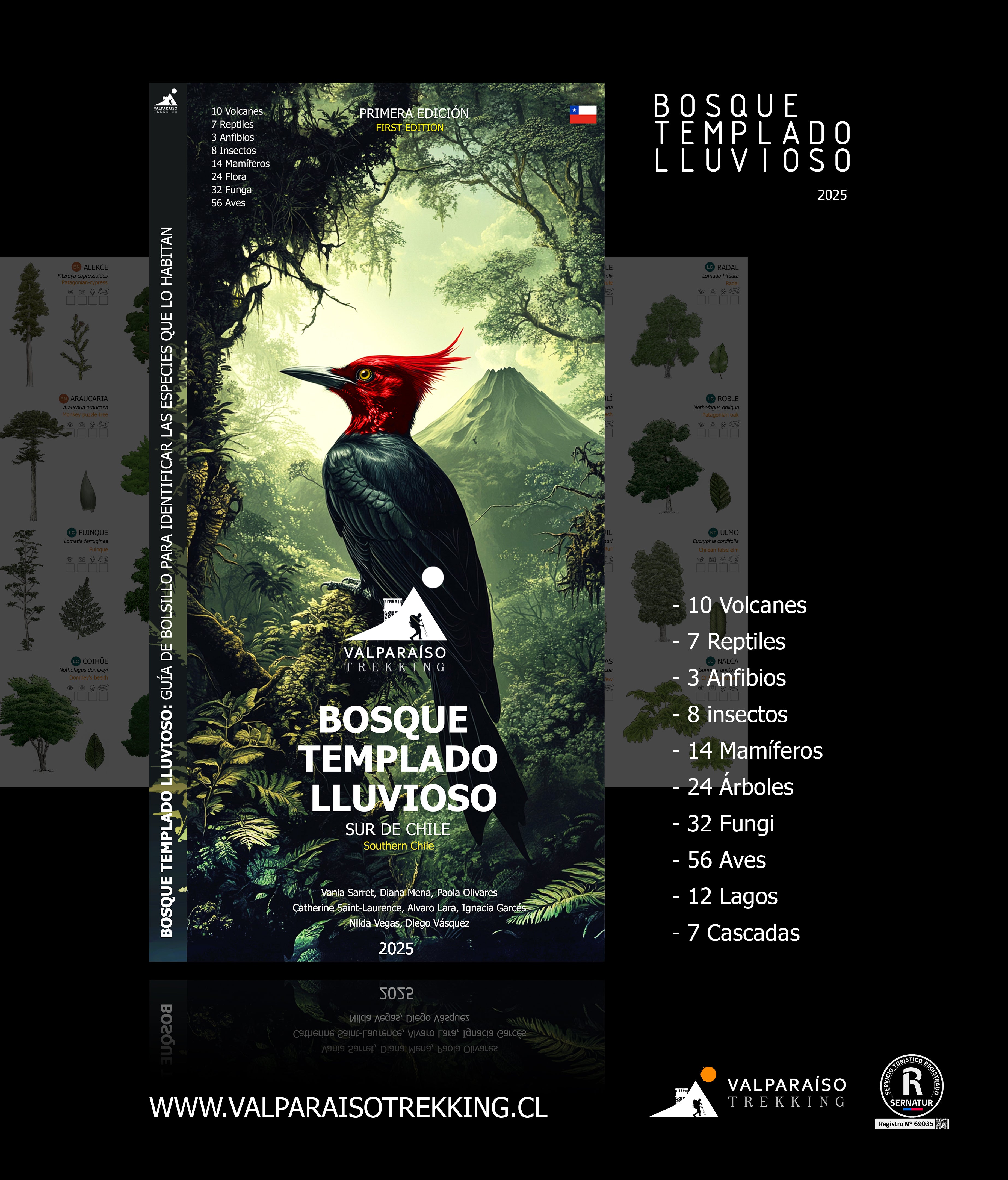 Guía BOSQUE TEMPLADO LLUVIOSO