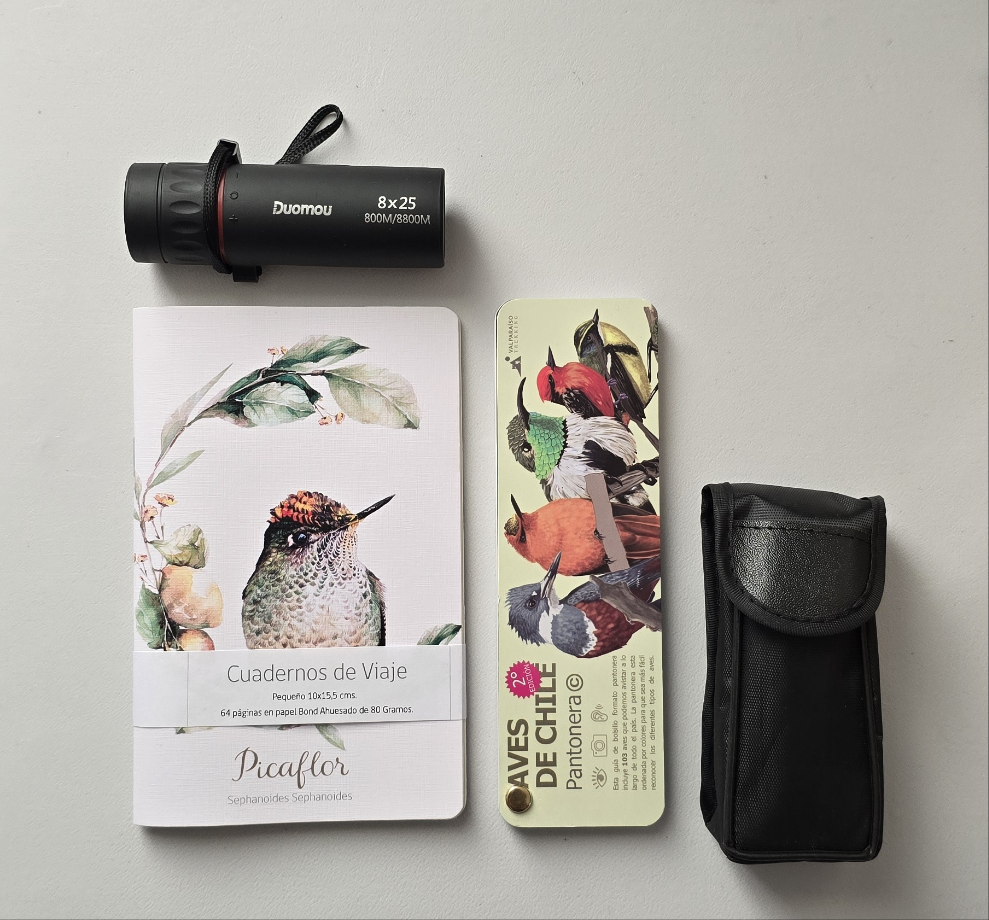 Pack observador de aves