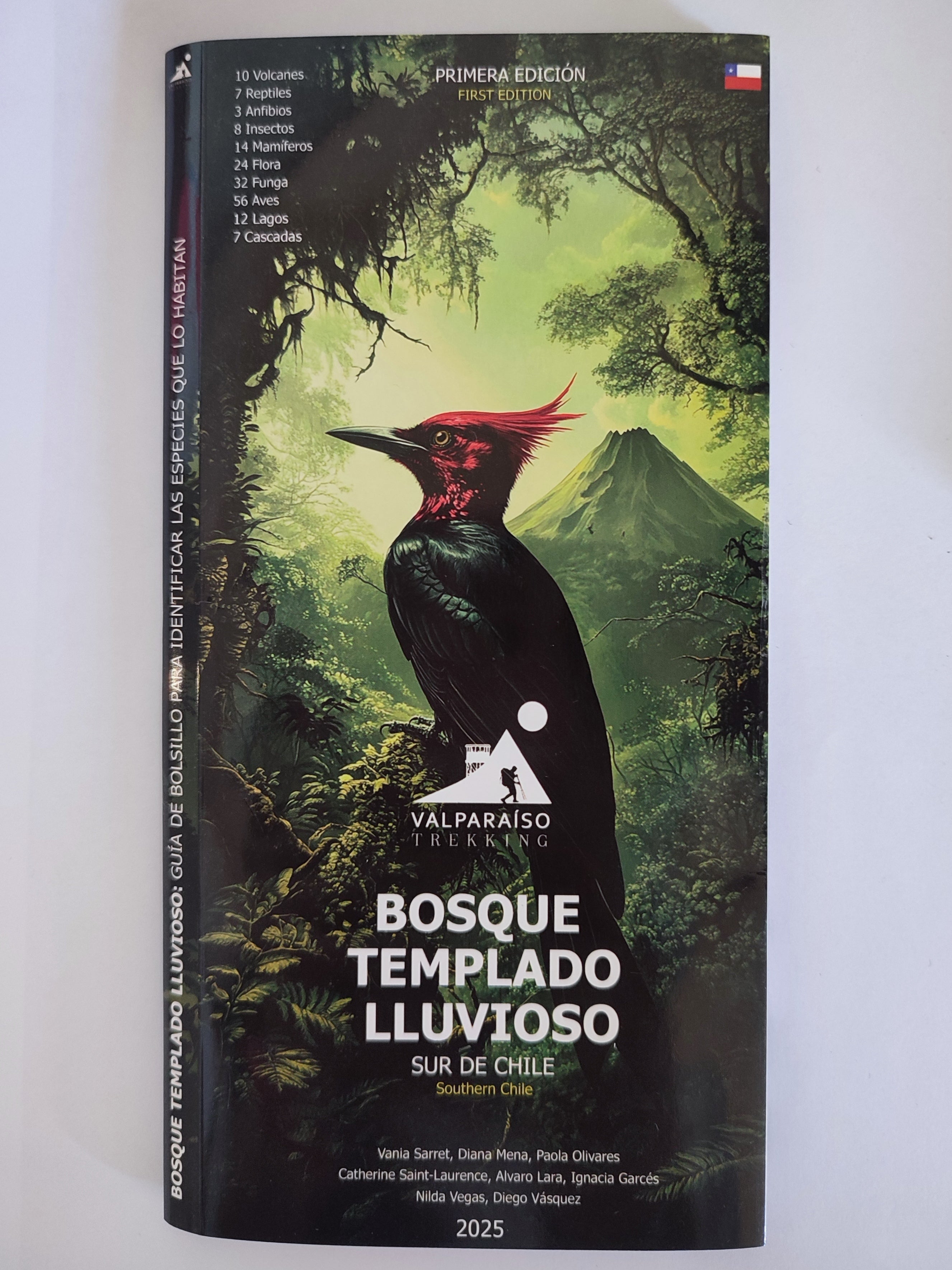 Guía BOSQUE TEMPLADO LLUVIOSO