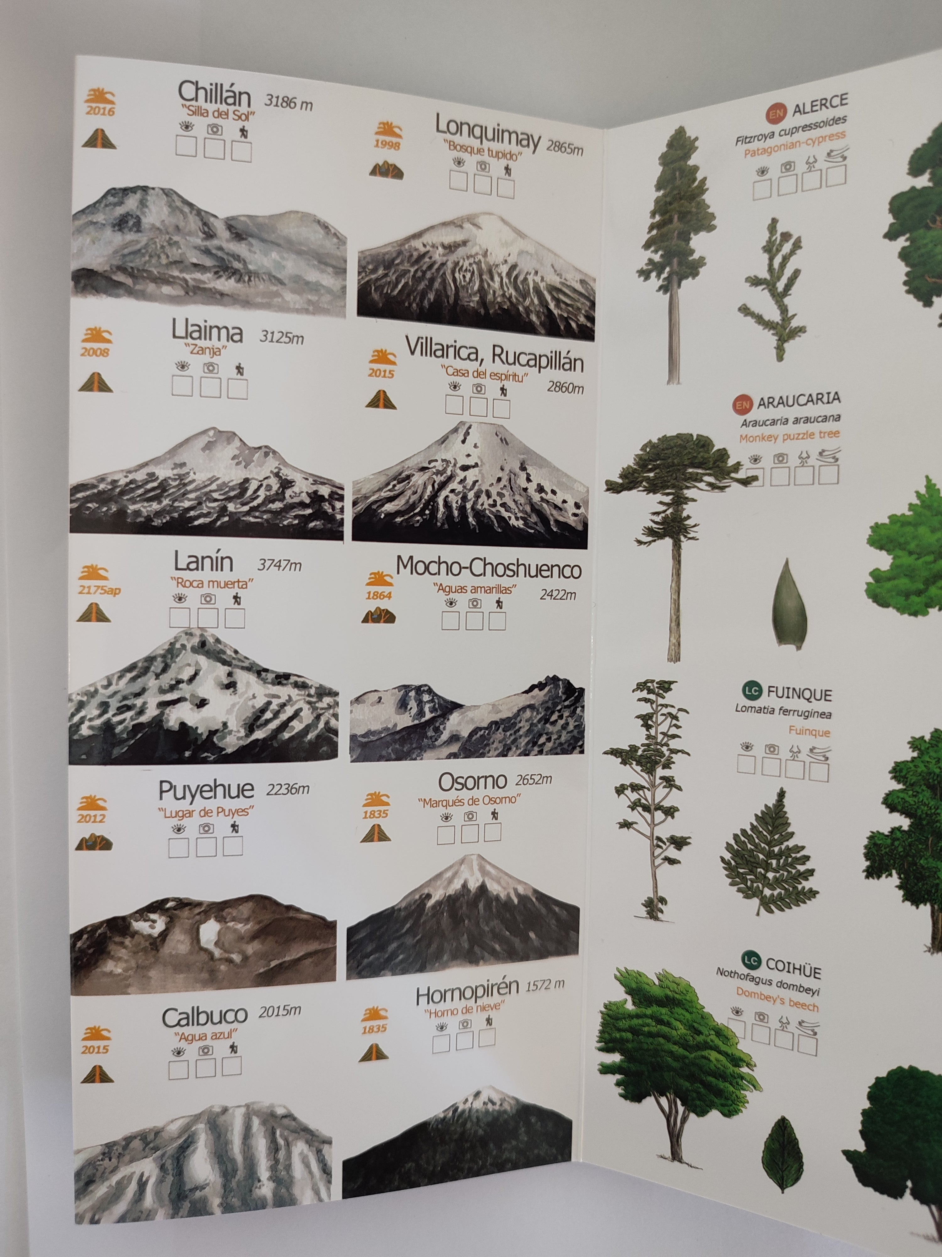 Guía BOSQUE TEMPLADO LLUVIOSO