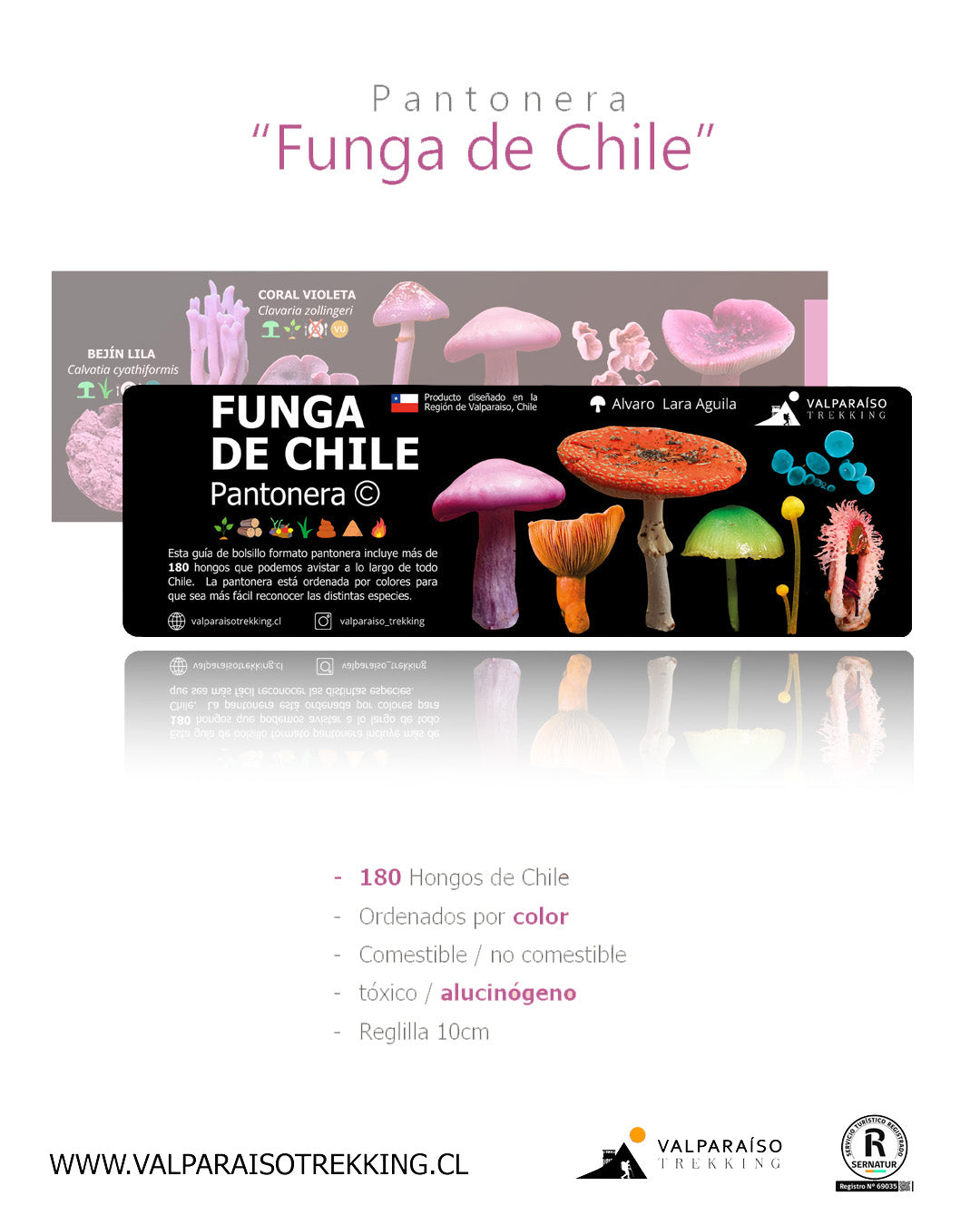 Pantonera FUNGA DE CHILE (180 especies a todo color)