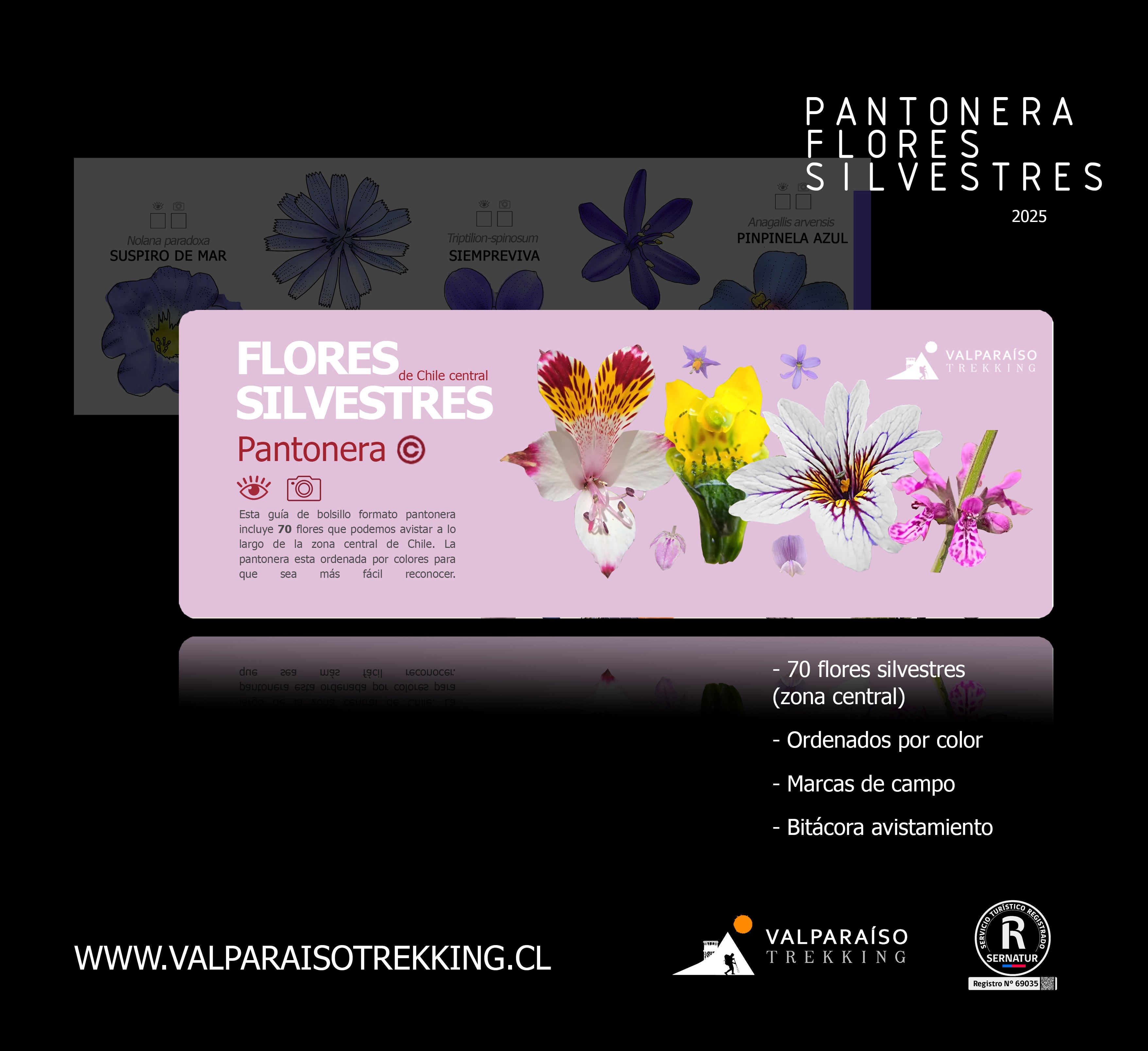 Pantonera De Flores