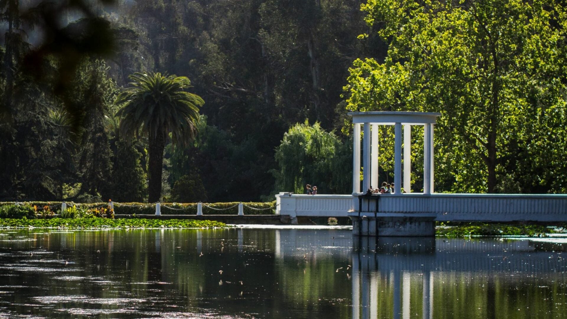Taller Birdwatching Jardín Botánico Nacional Viña del Mar (6 abril)