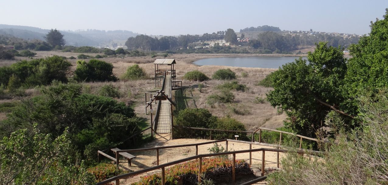 Taller Birdwatching Laguna El Peral 2025