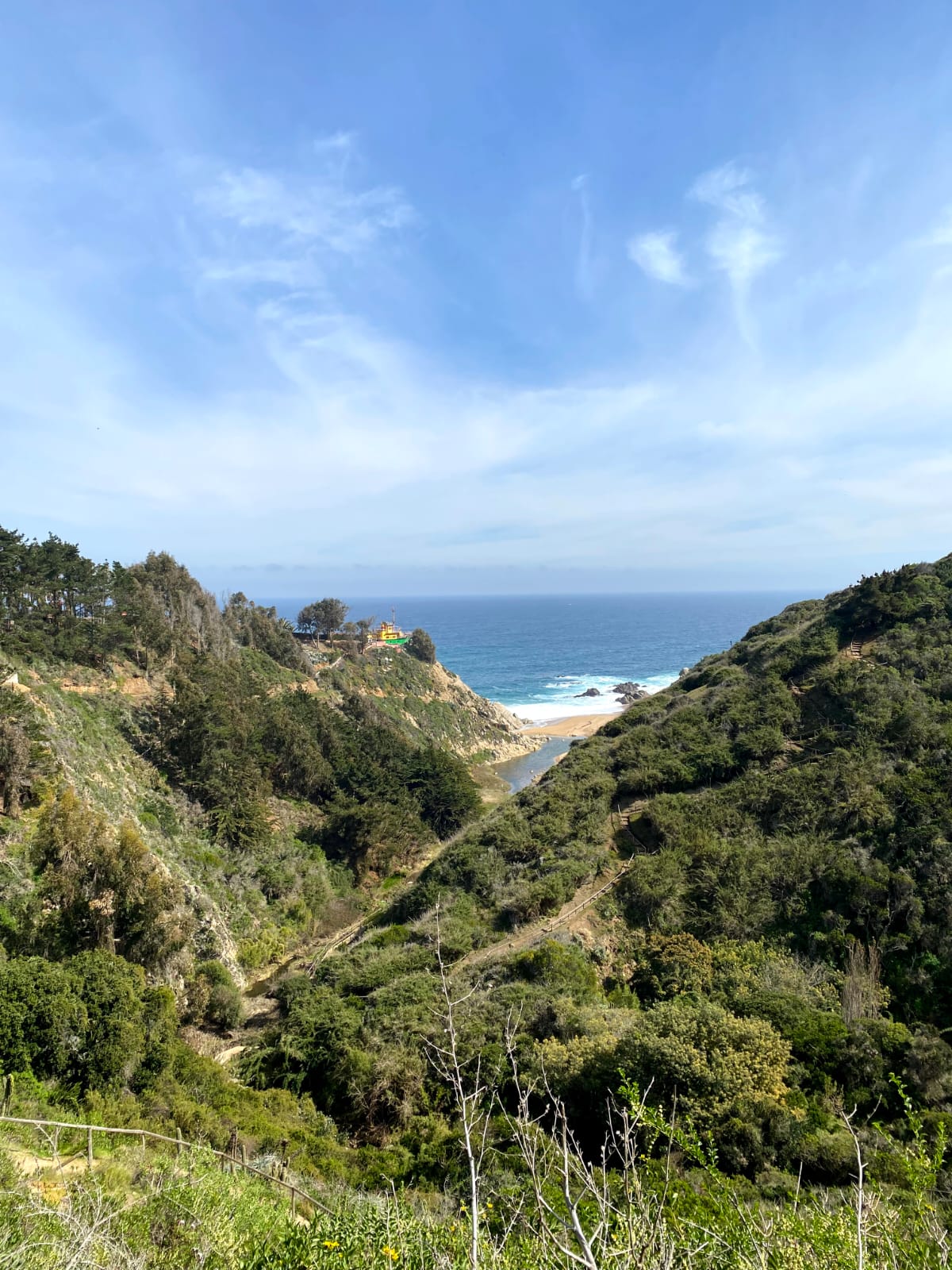 Taller Birdwatching Laguna El Peral 2025