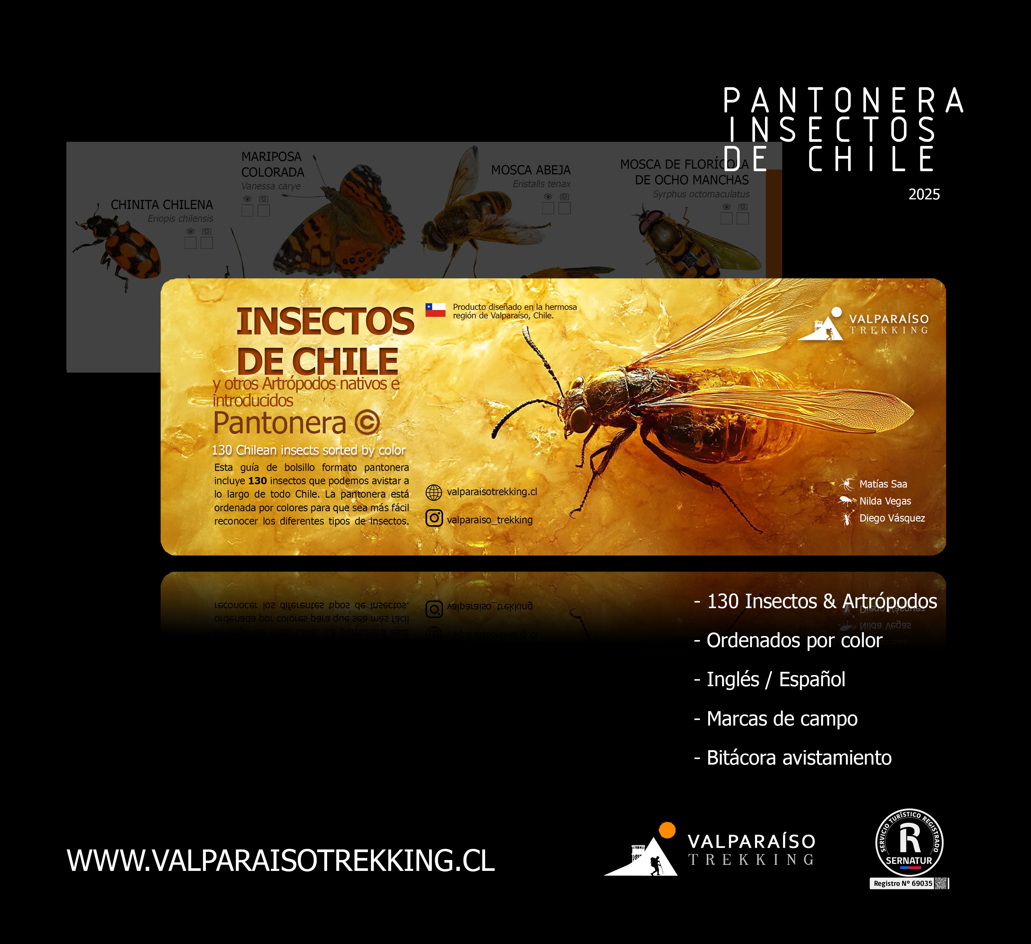 Pantonera INSECTOS DE CHILE