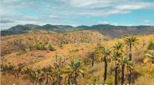 Trekking Altos de Charahuecho + Quebrada El Quiteño
