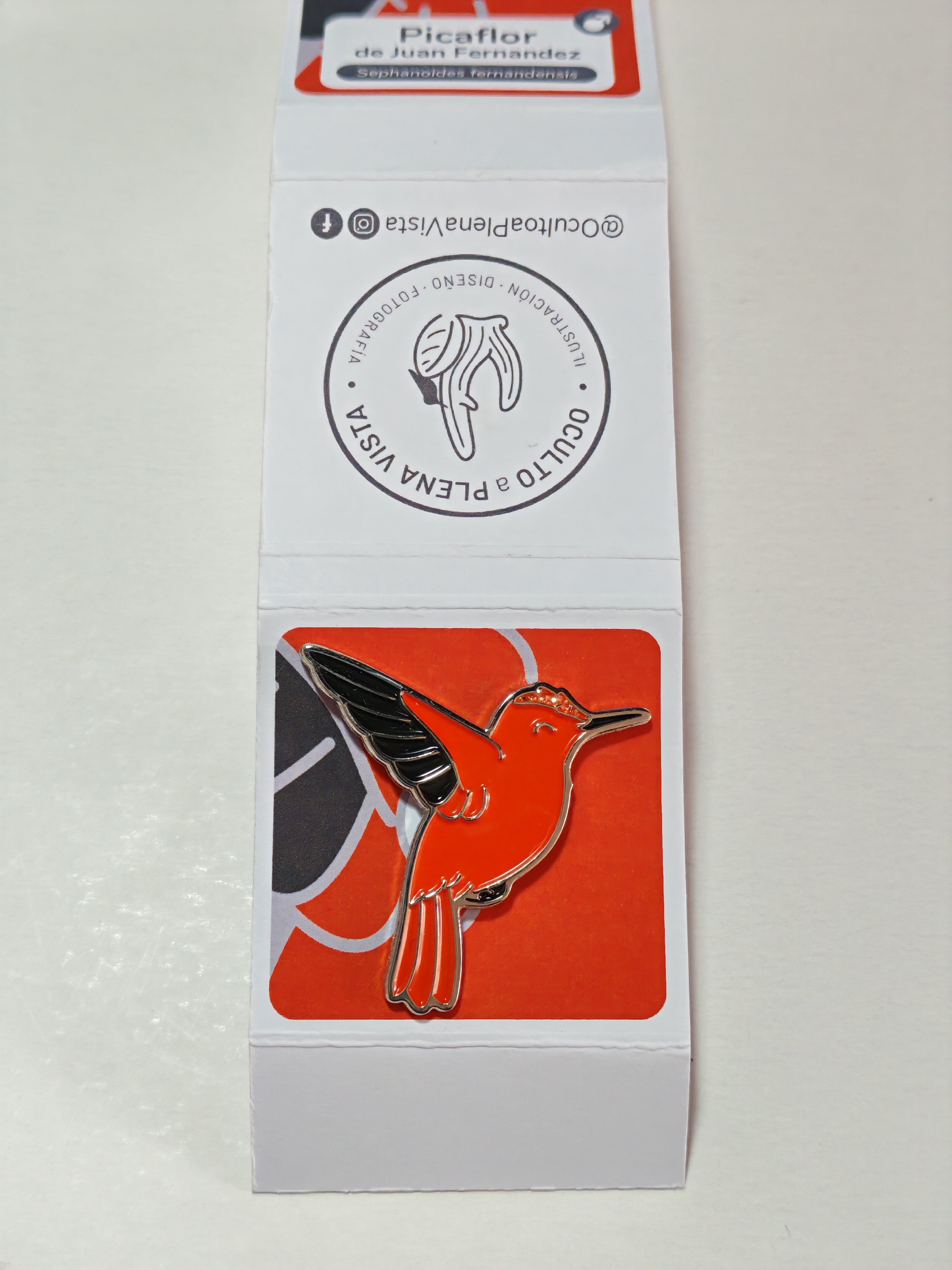Pin Picaflor de Juan Fernández ♂