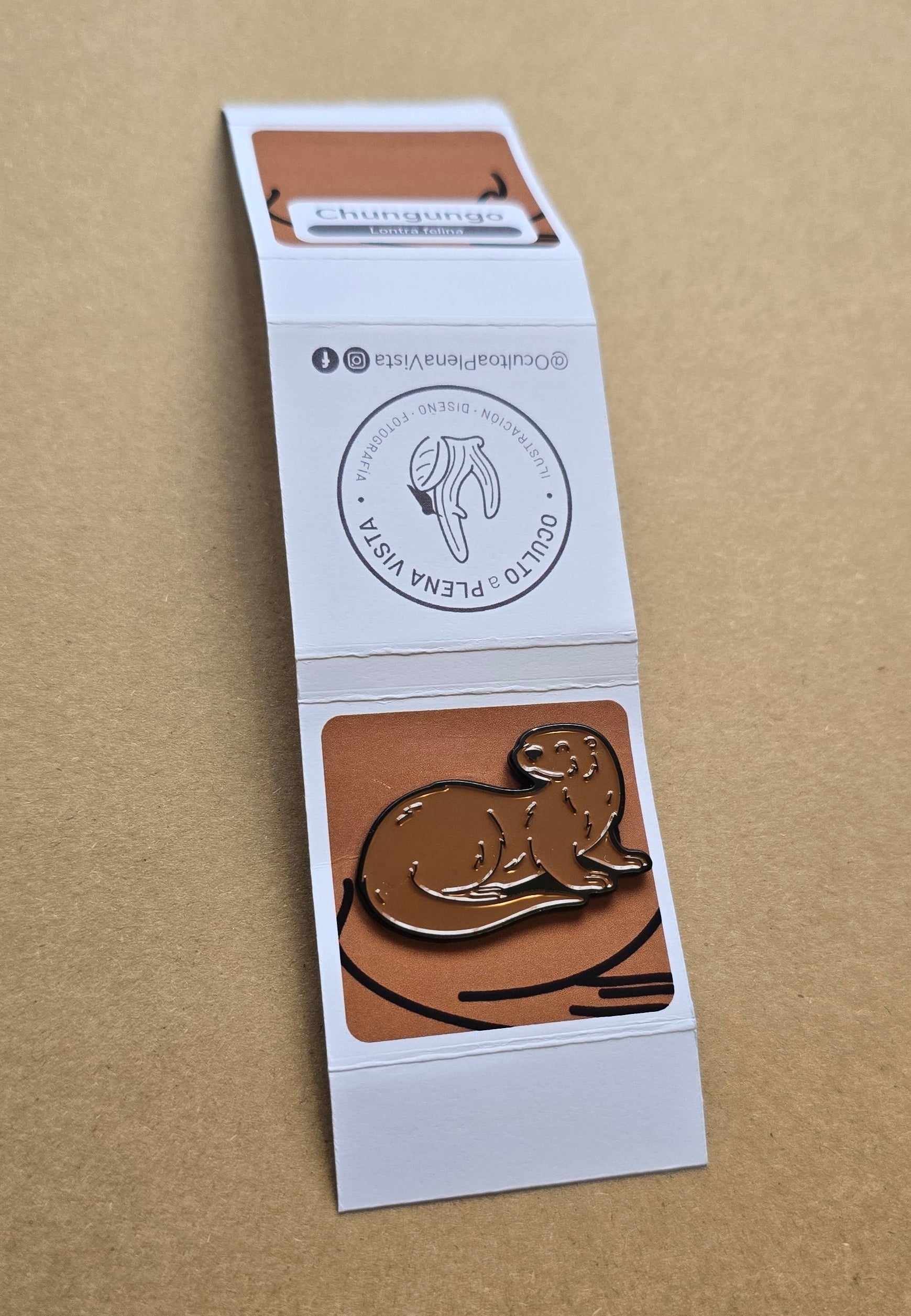 pin Chungungo