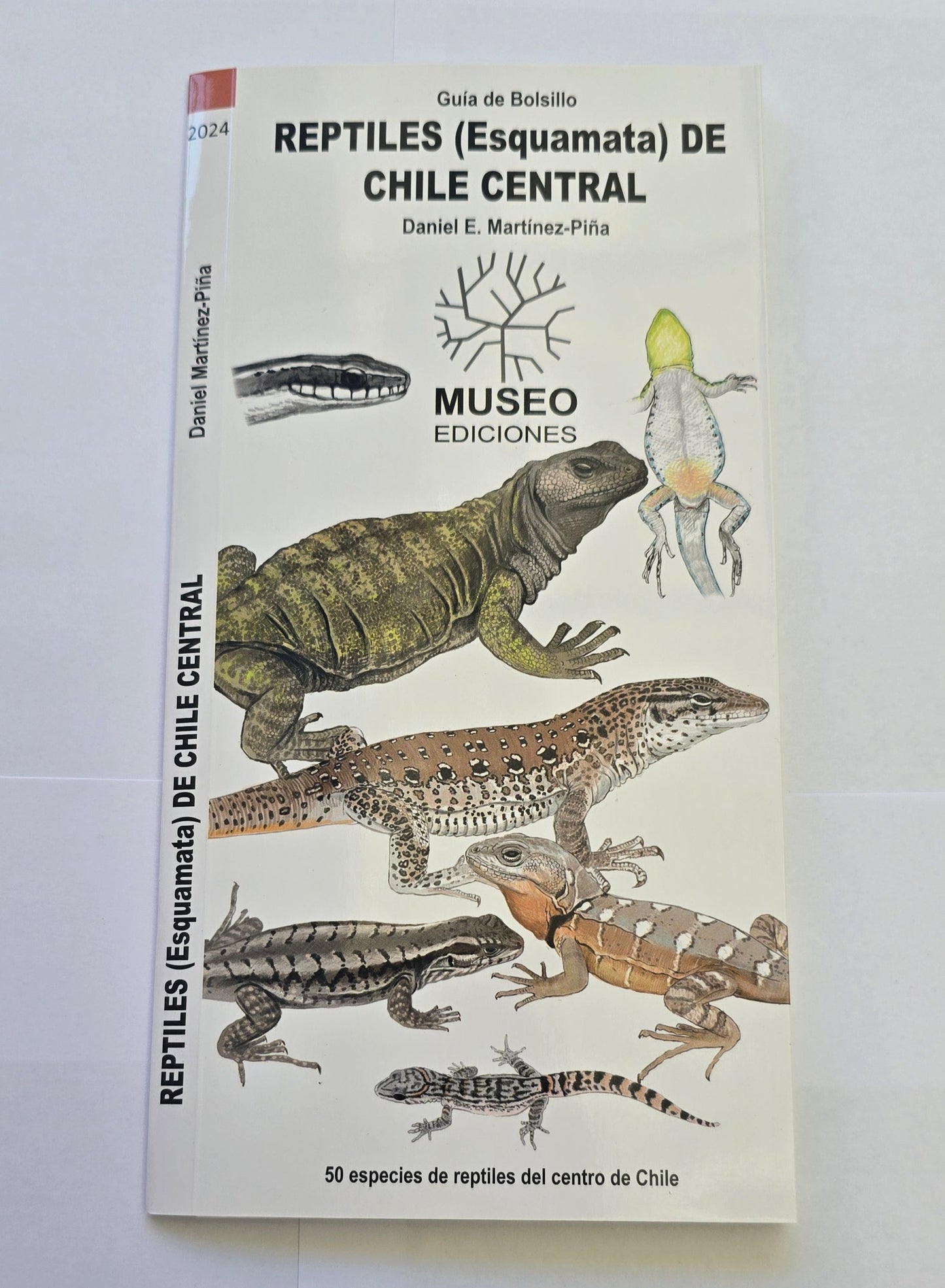 Guia reptiles de Chile