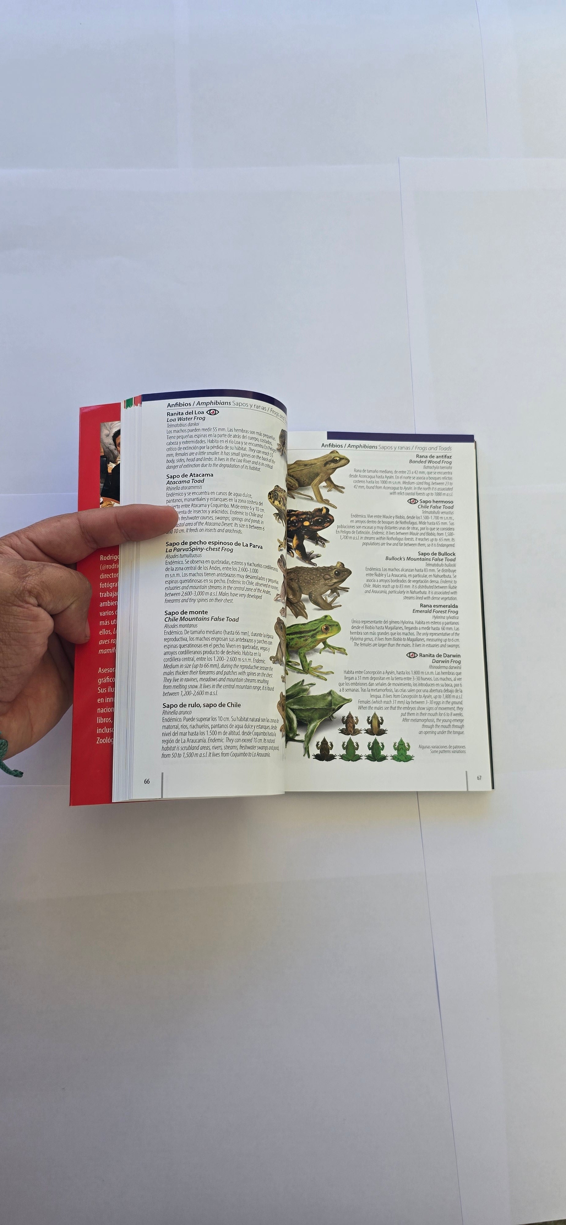 Guia rápida flora, fauna y funga