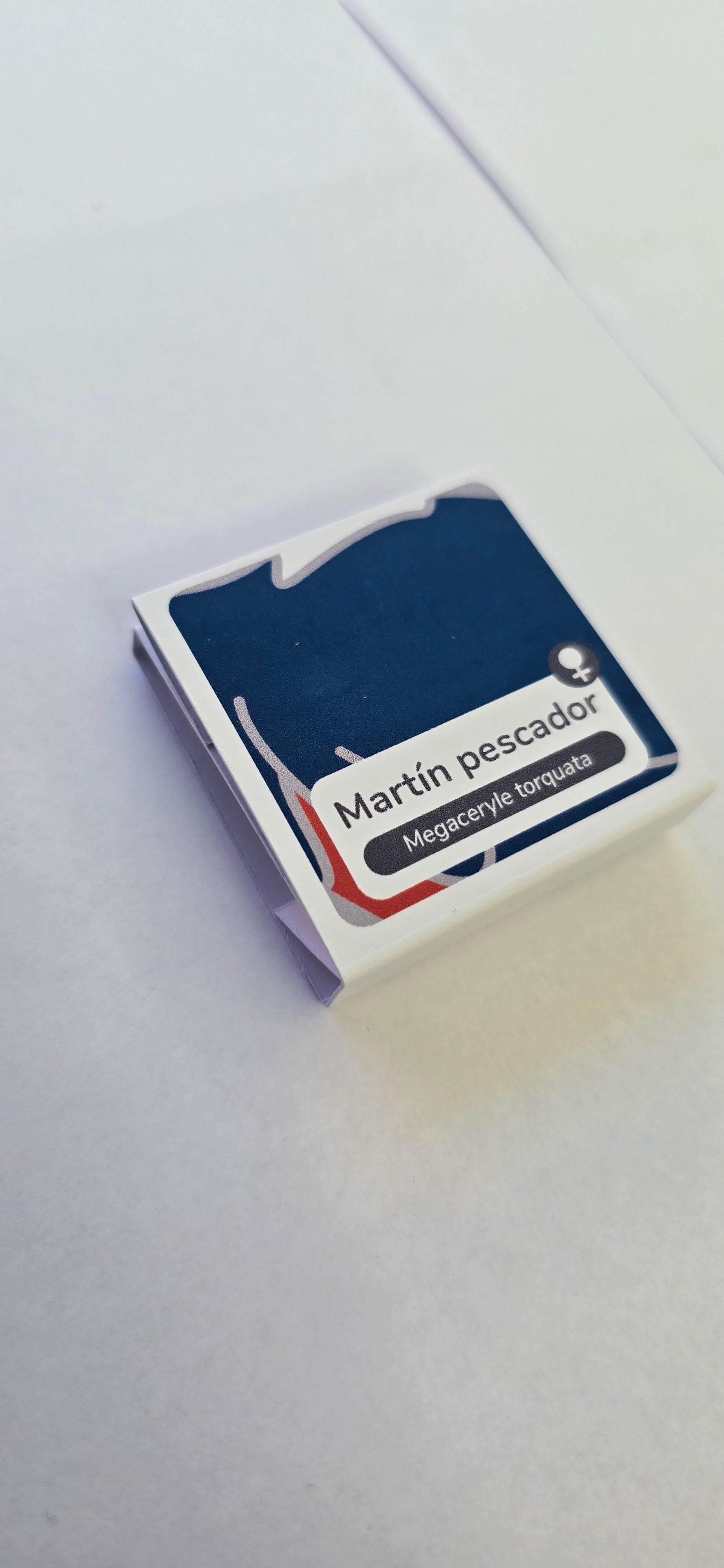 Pin martín pescador