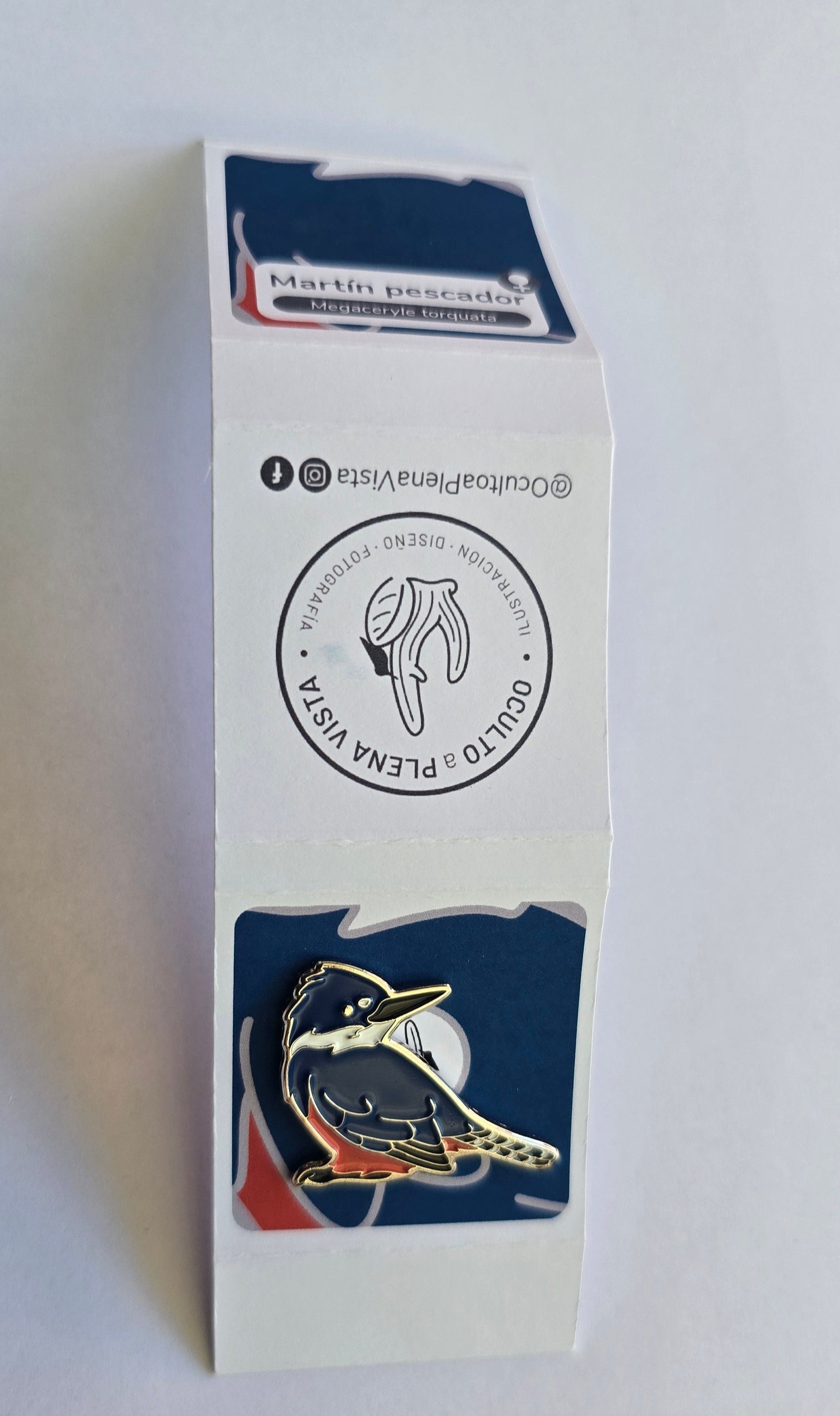 Pin martín pescador