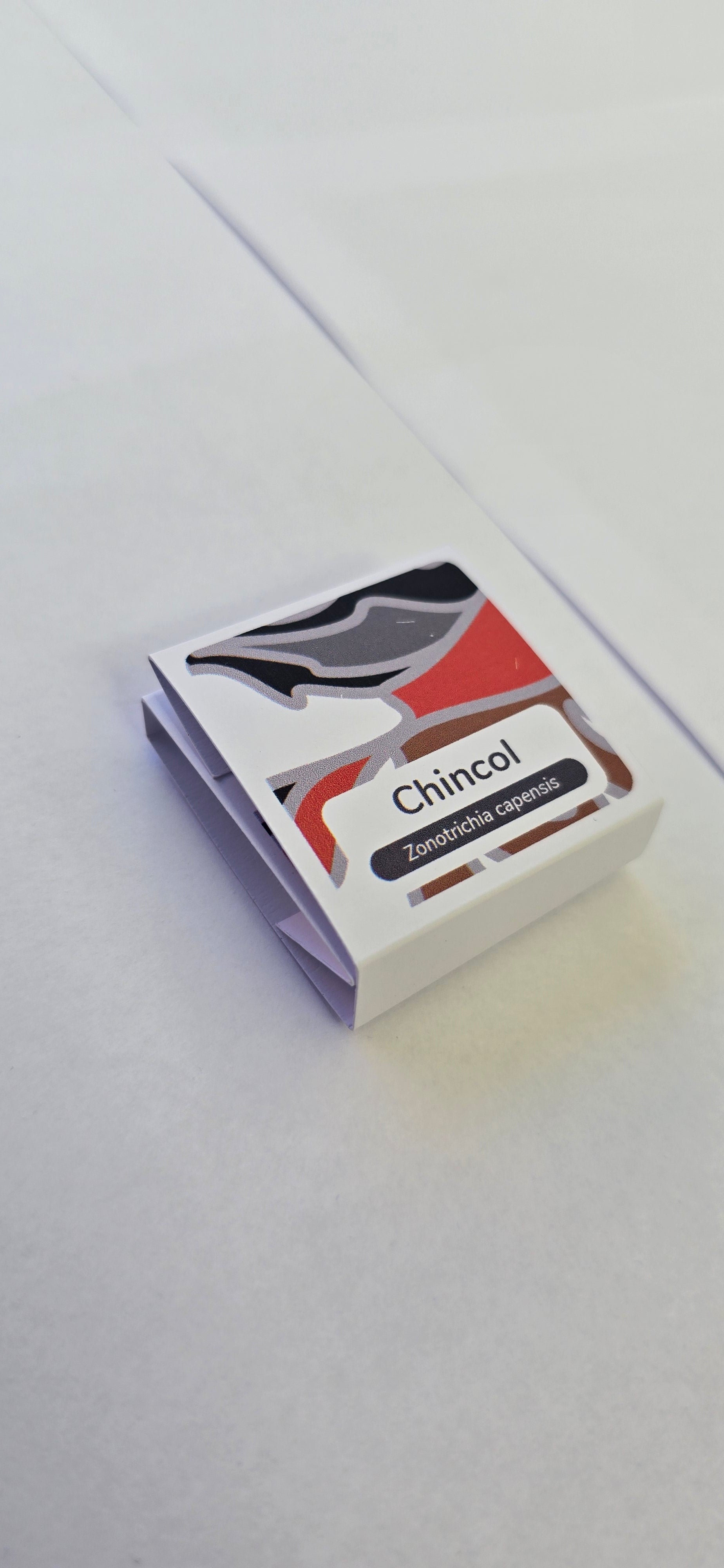 Pin chincol