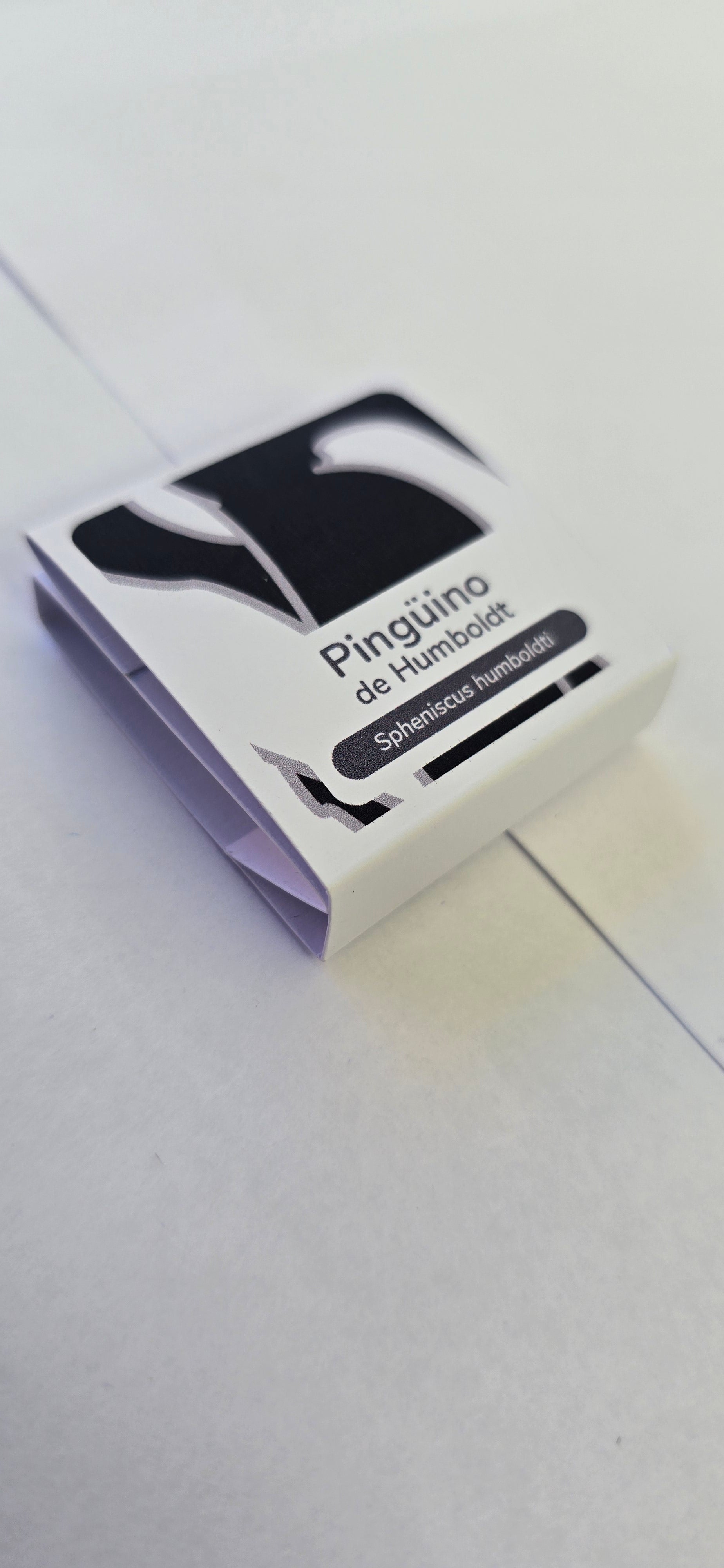 Pin pinguino de humboldt