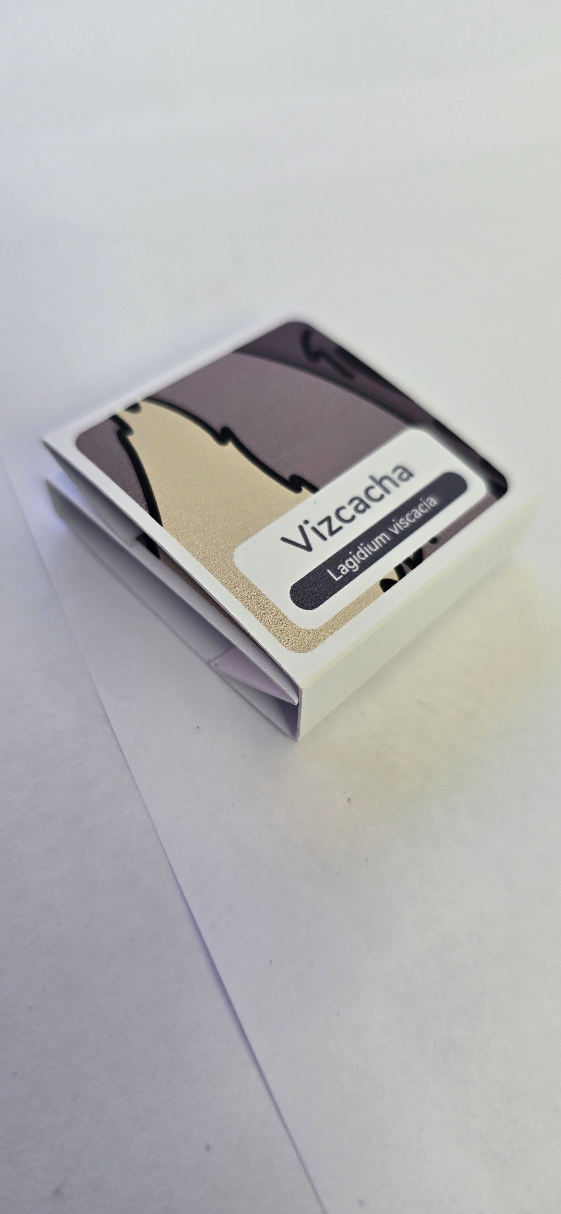 Pin vizcacha