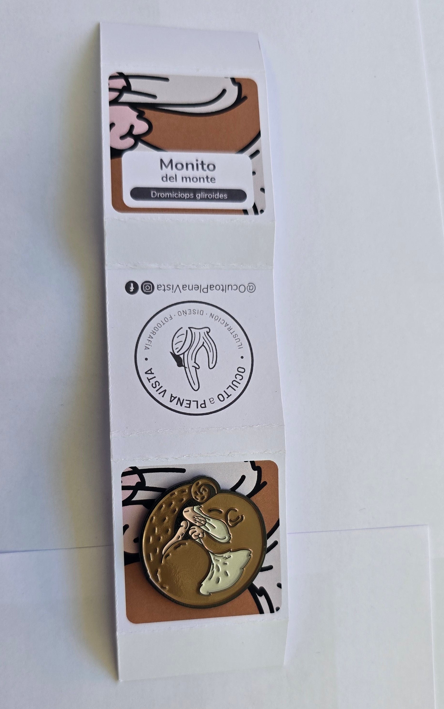 Pin monito del monte