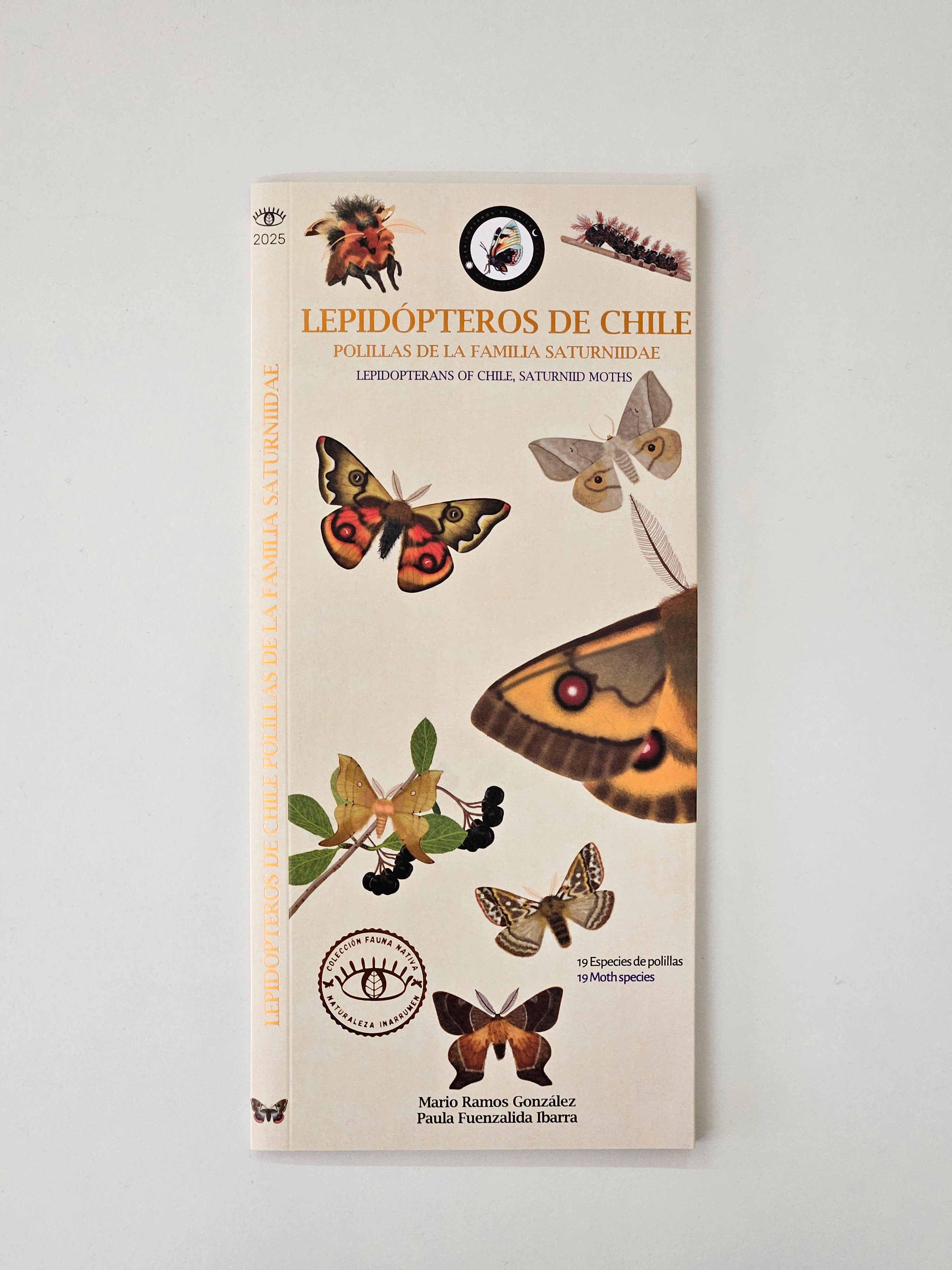 Lepidópteros de Chile Polillas de la Familia Saturniidae