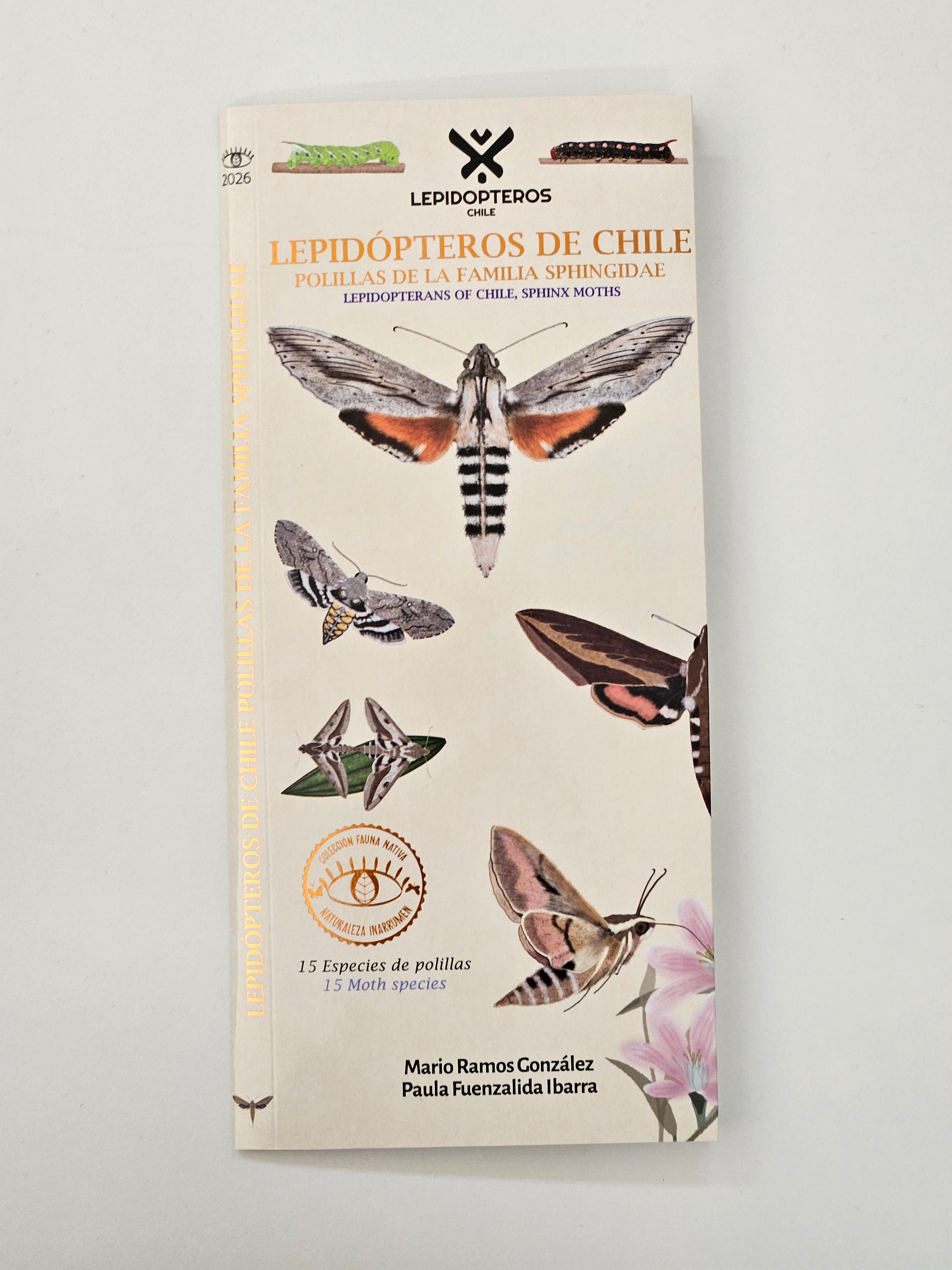 Lepiodopteros de Chile "Polillas de la familia sphingidae"