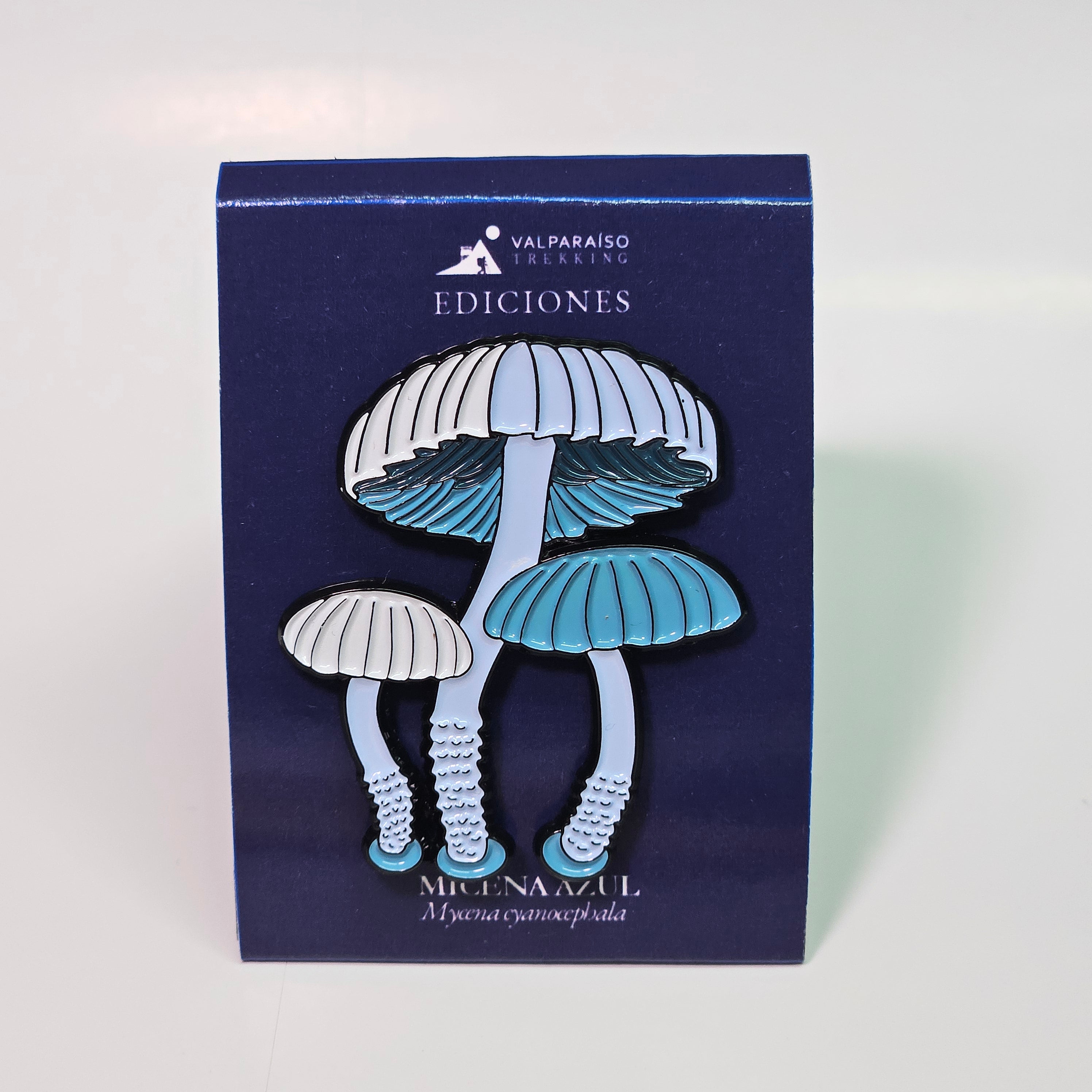 Pin Micena Azul