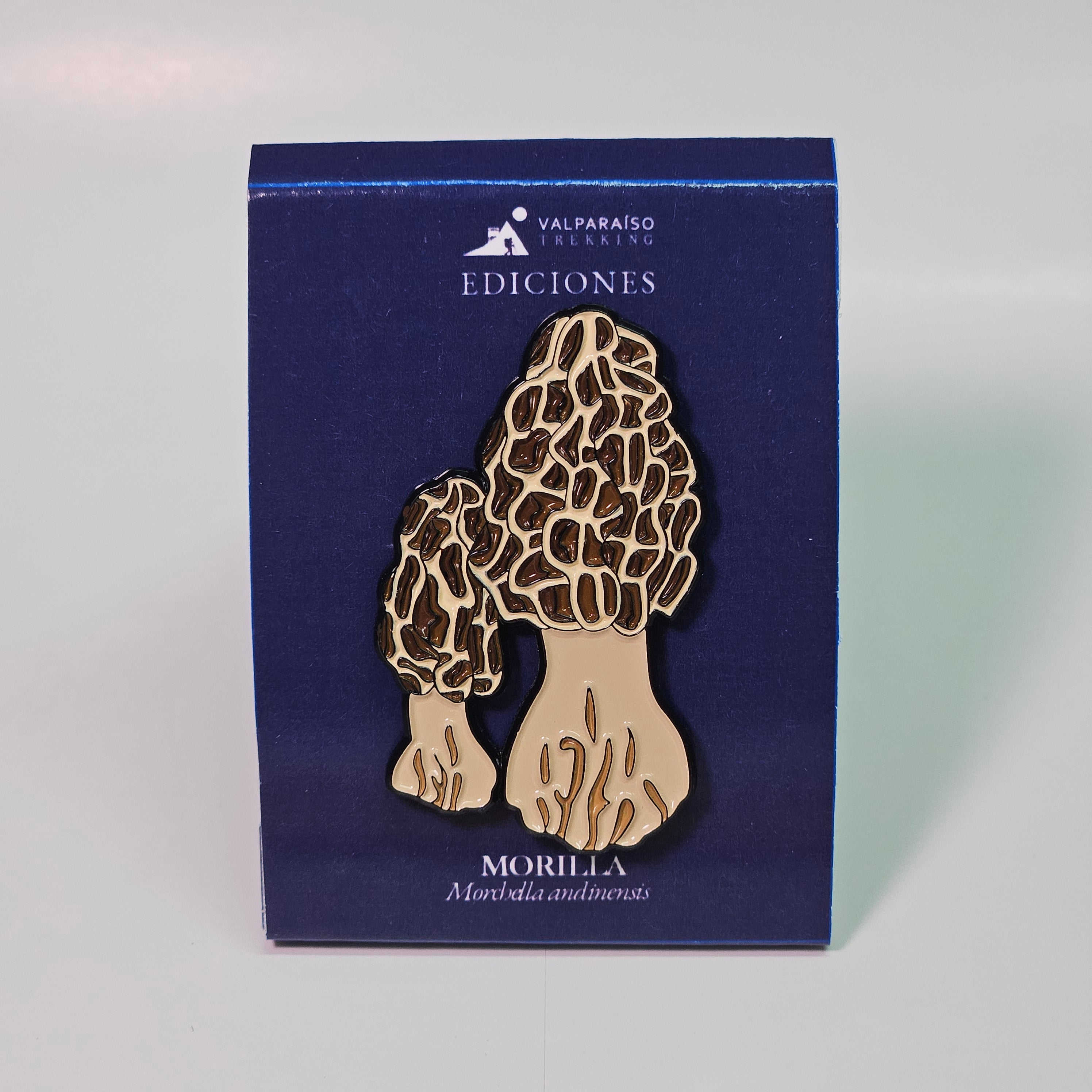 Pin Morilla