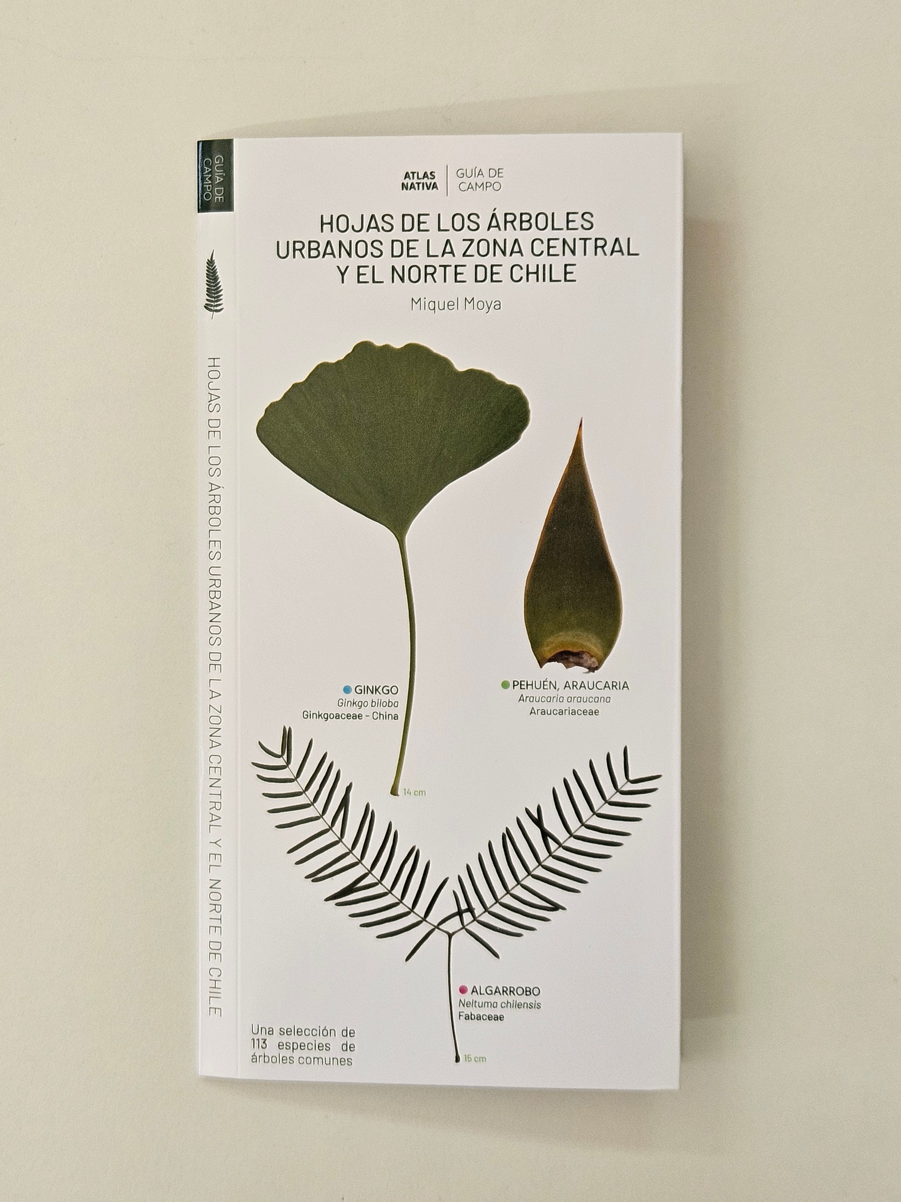 ATLAS NATIVA
