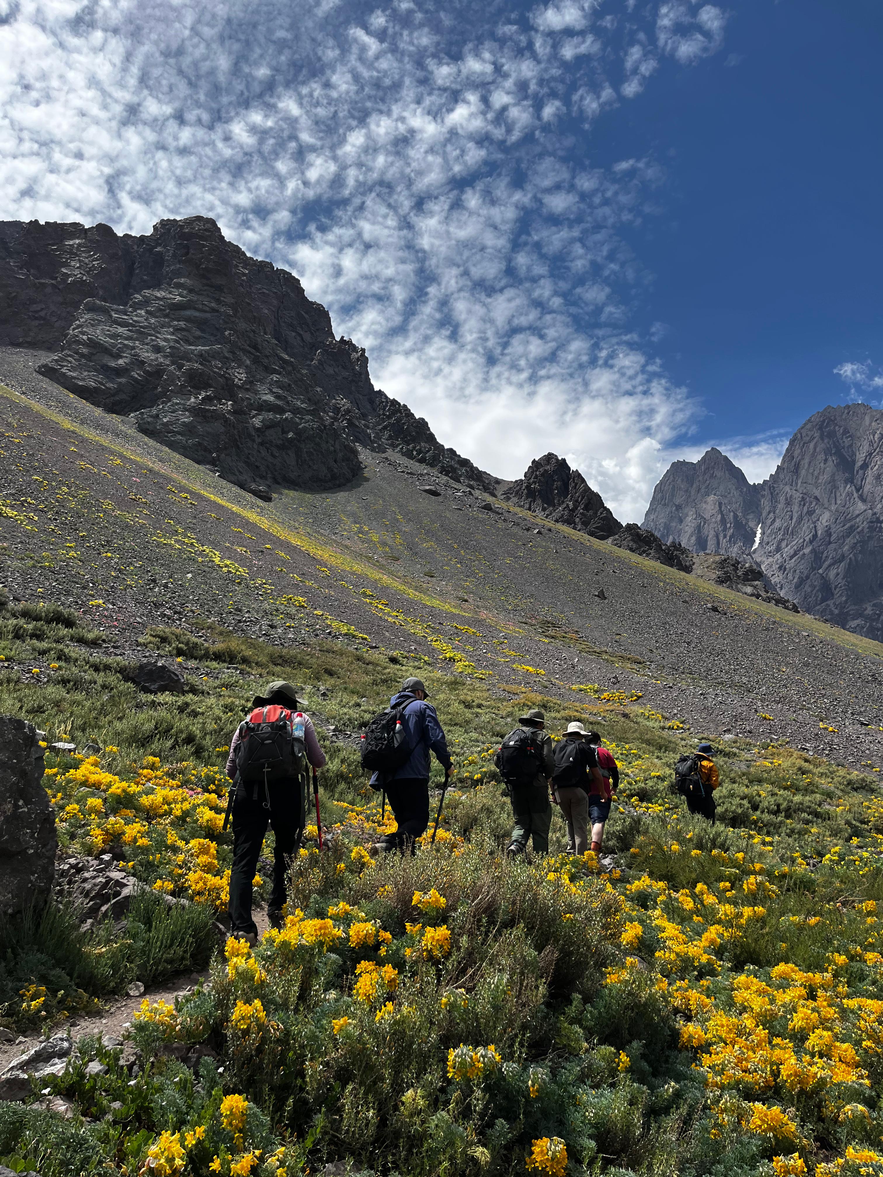 2025 Trekking Parque Andino Juncal 26 Enero