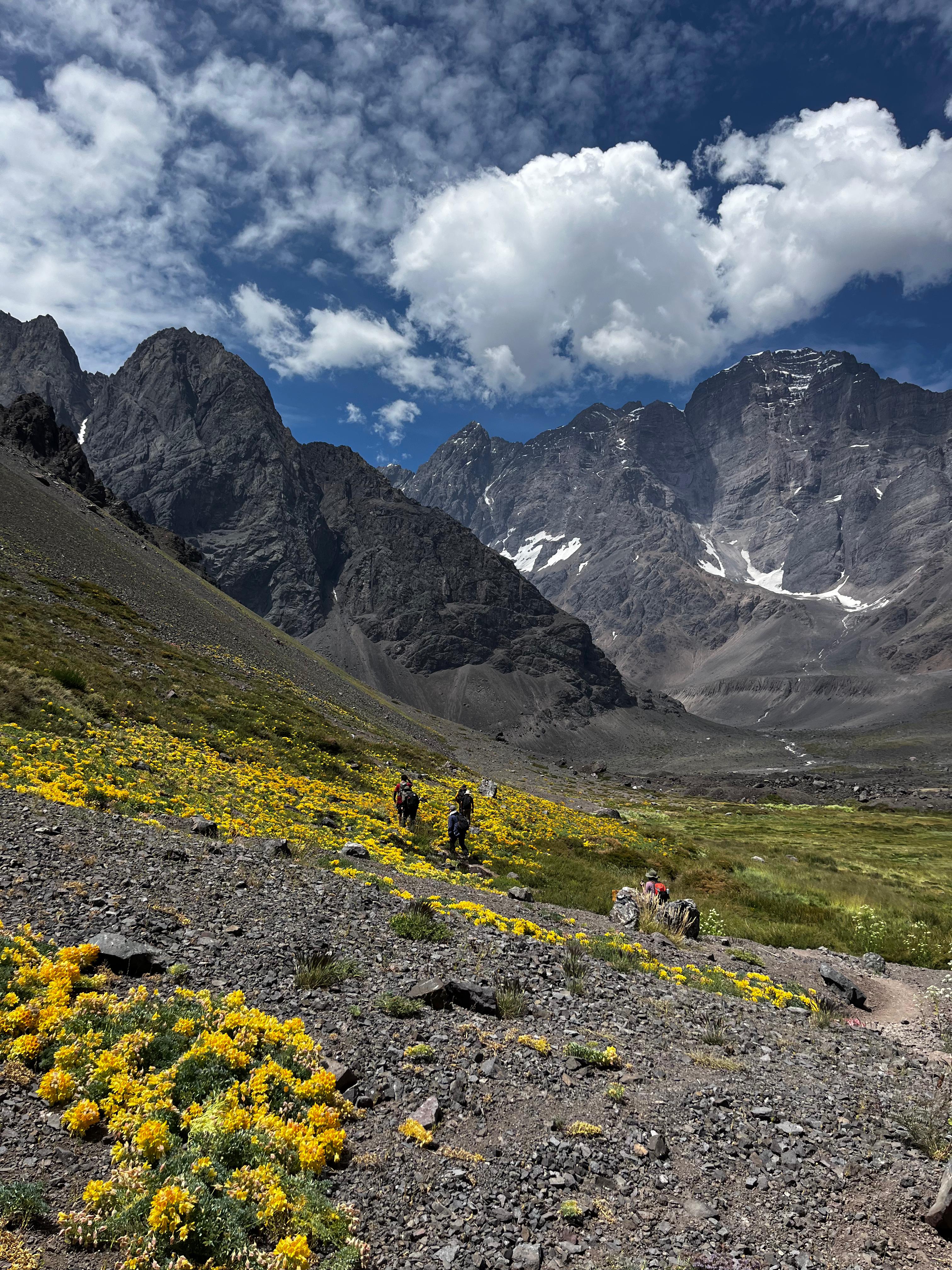 2025 Trekking Parque Andino Juncal 26 Enero