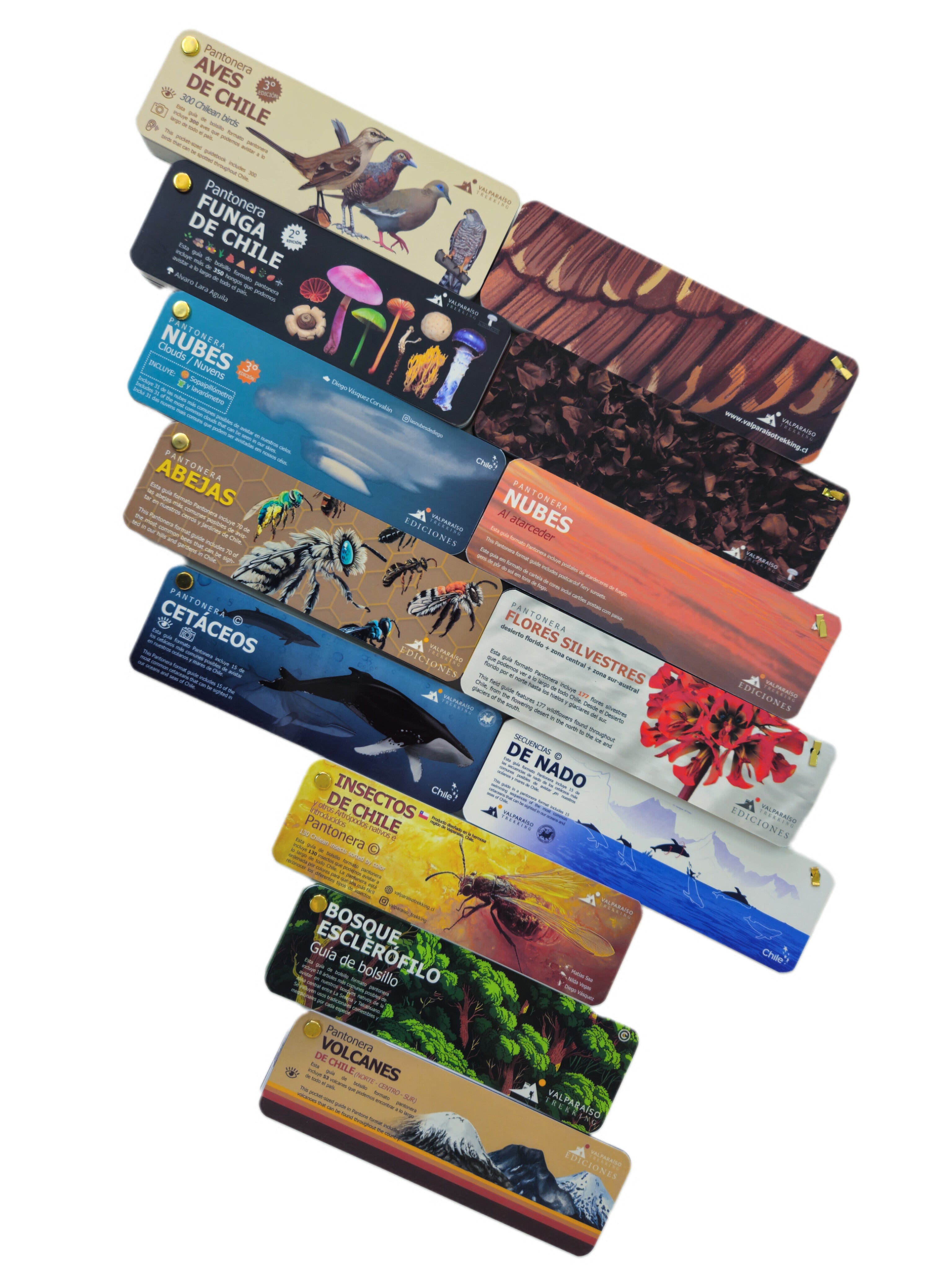 SUPER PACK EMPRENDEDORES