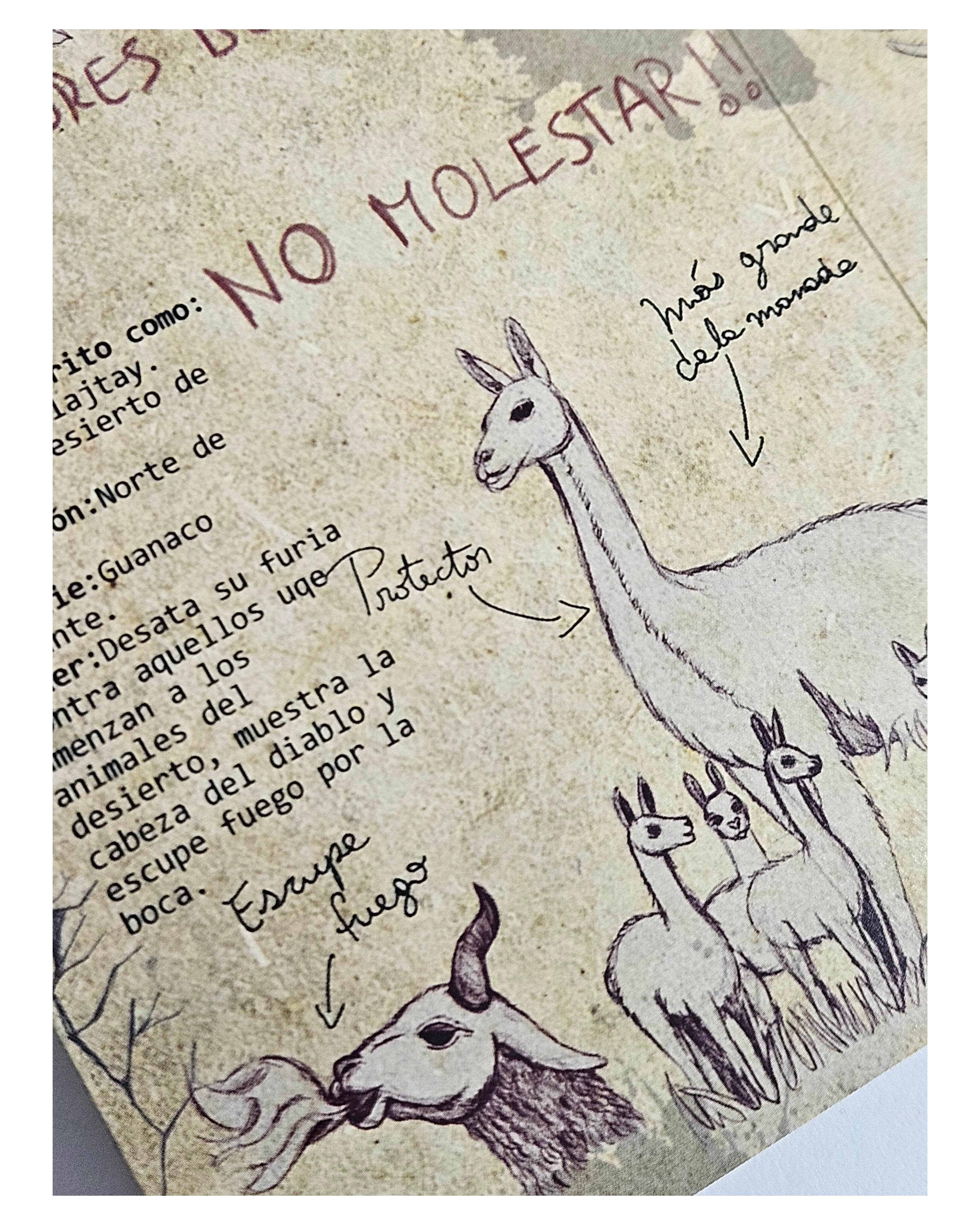 Pack Misterios de La Noche