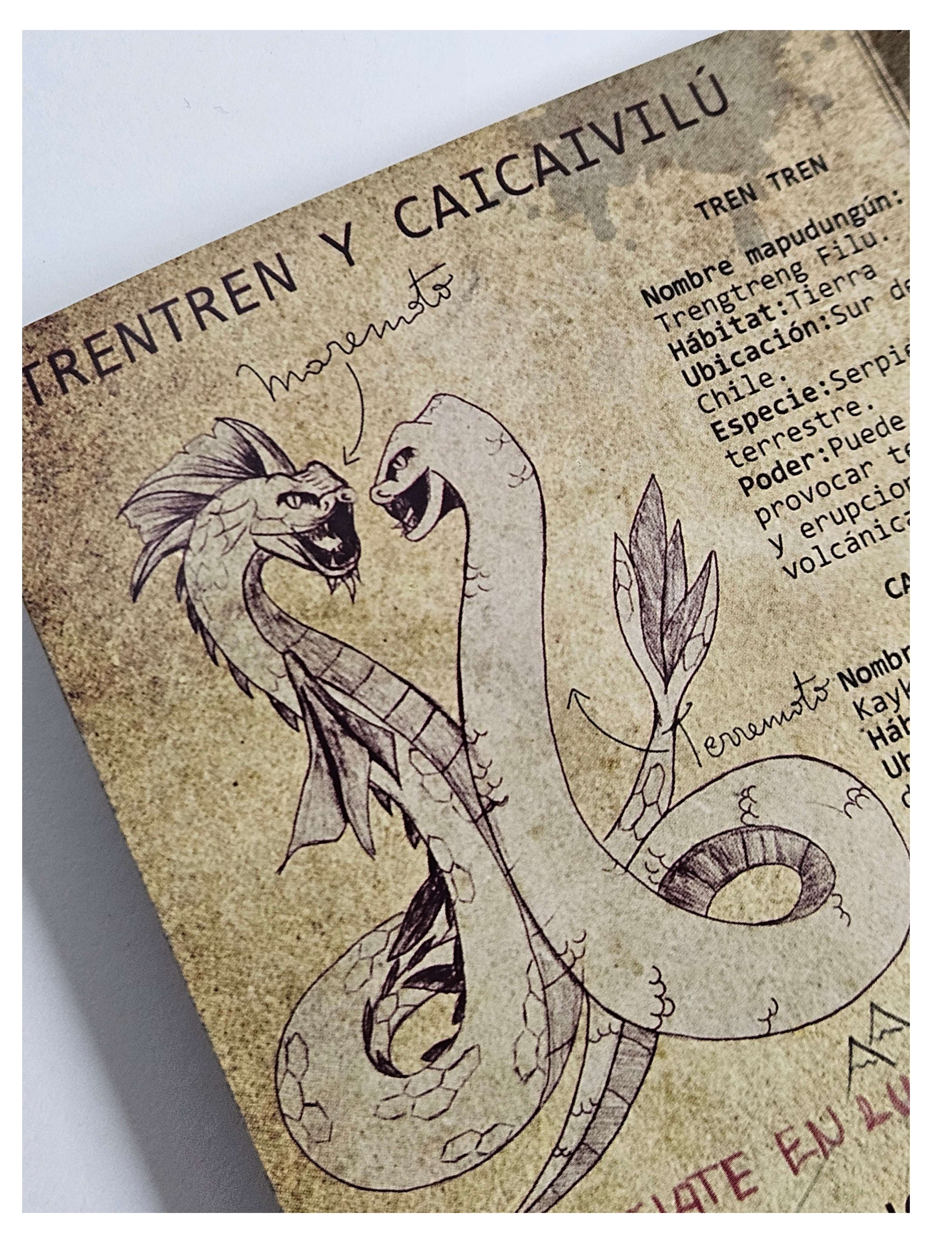 Pack Misterios de La Noche