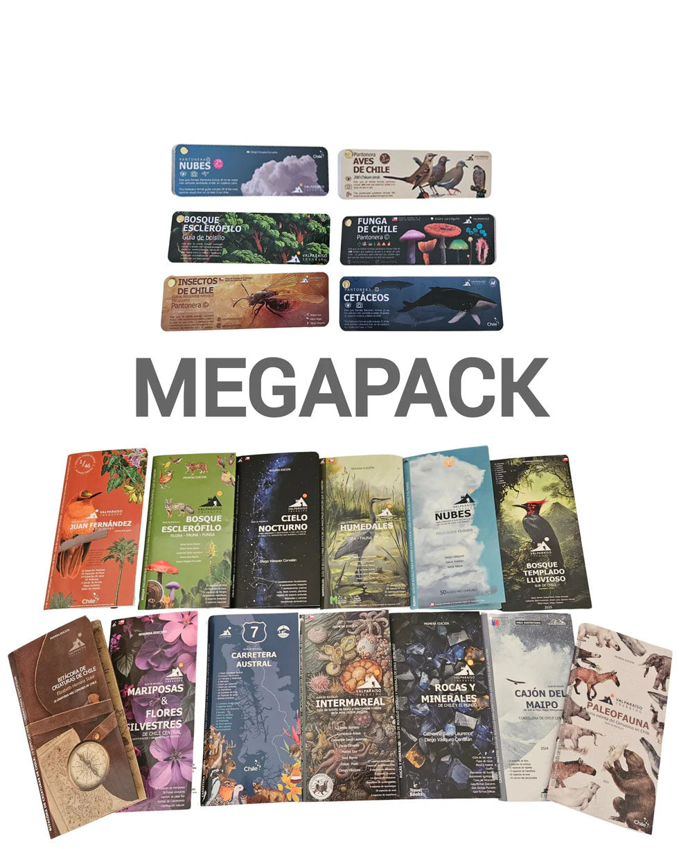 (19 guías ) MEGAPACK valparaíso trekking 2025