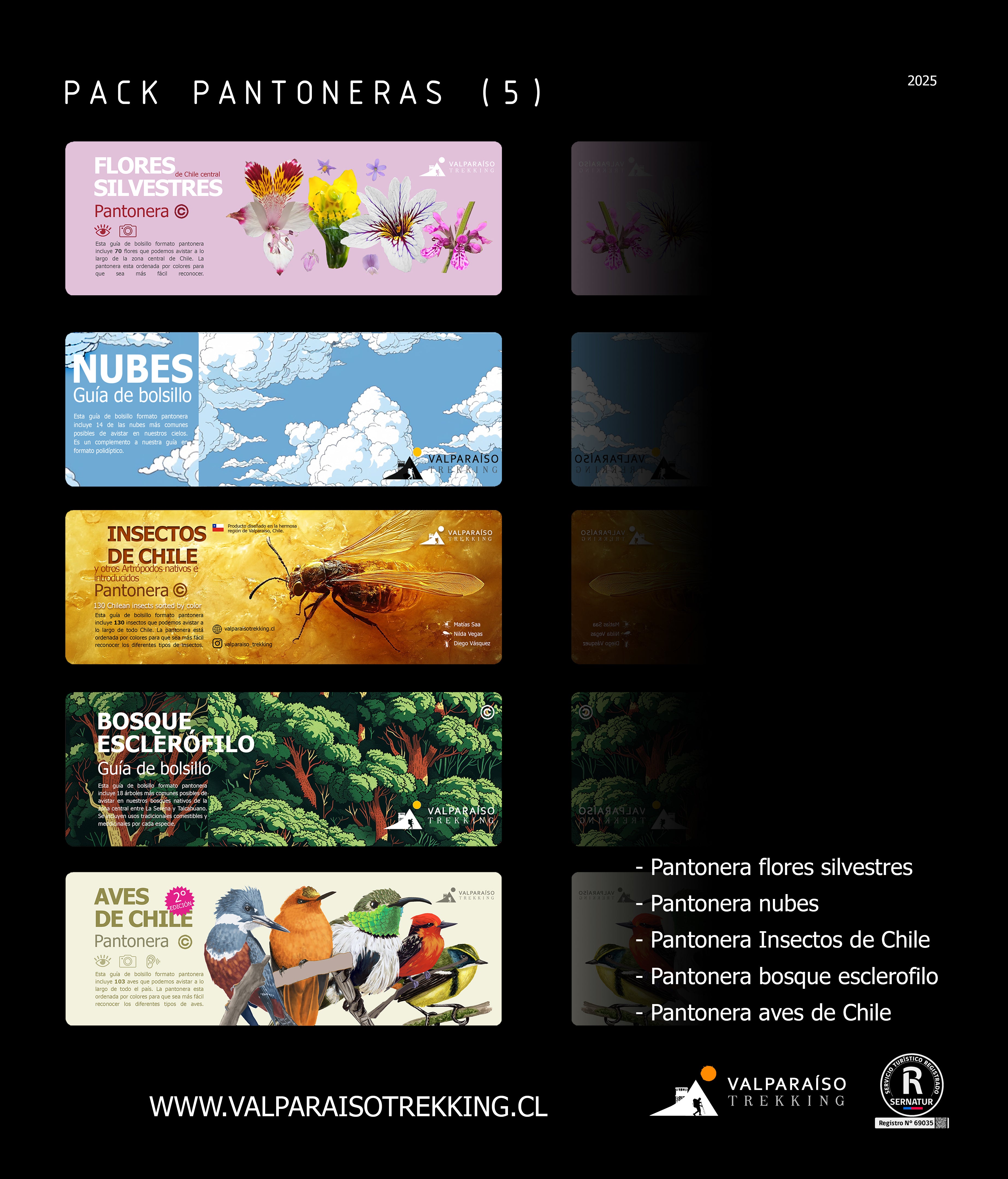 Pack Pantoneras (aves, nubes, bosque, flores e insectos)