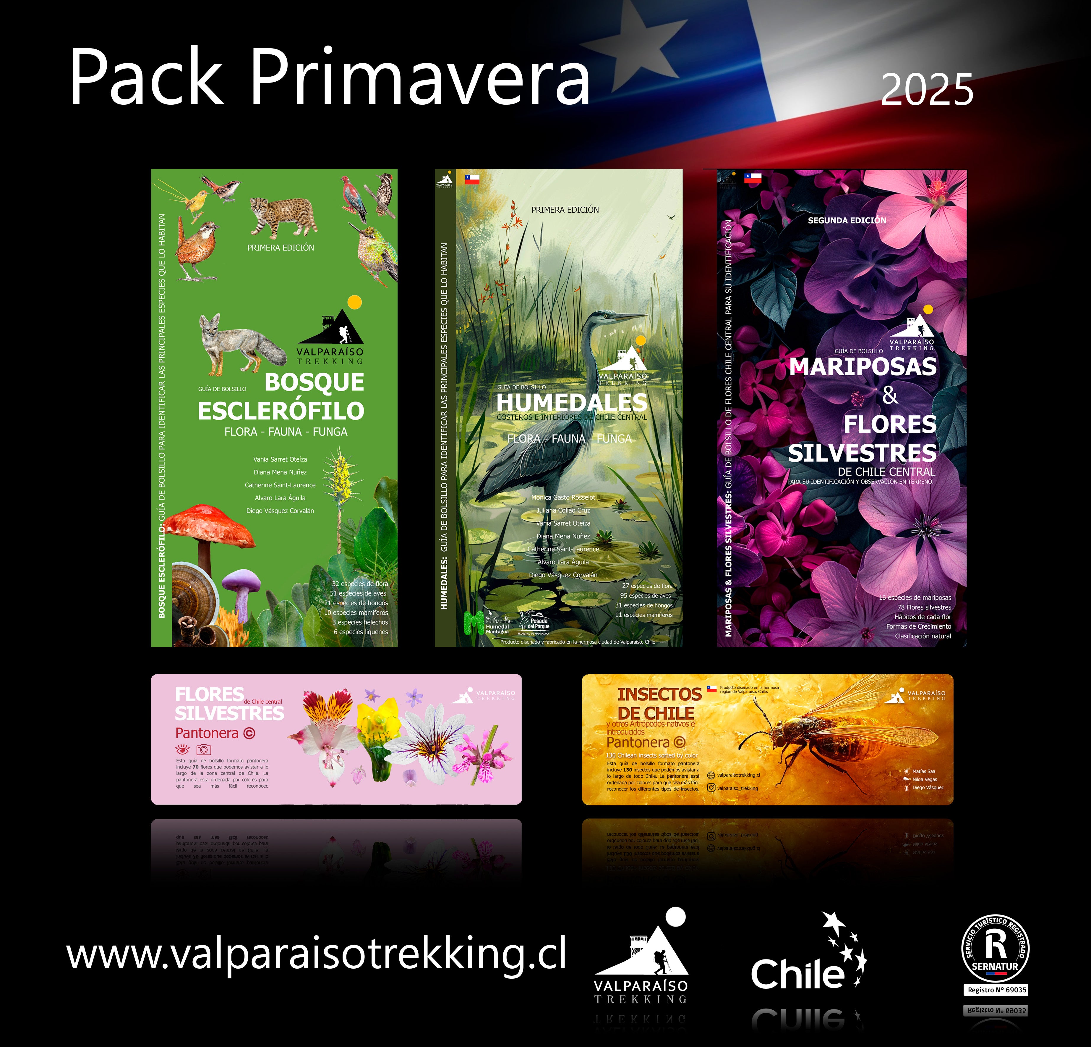 Pack primavera 🌼2025🌼