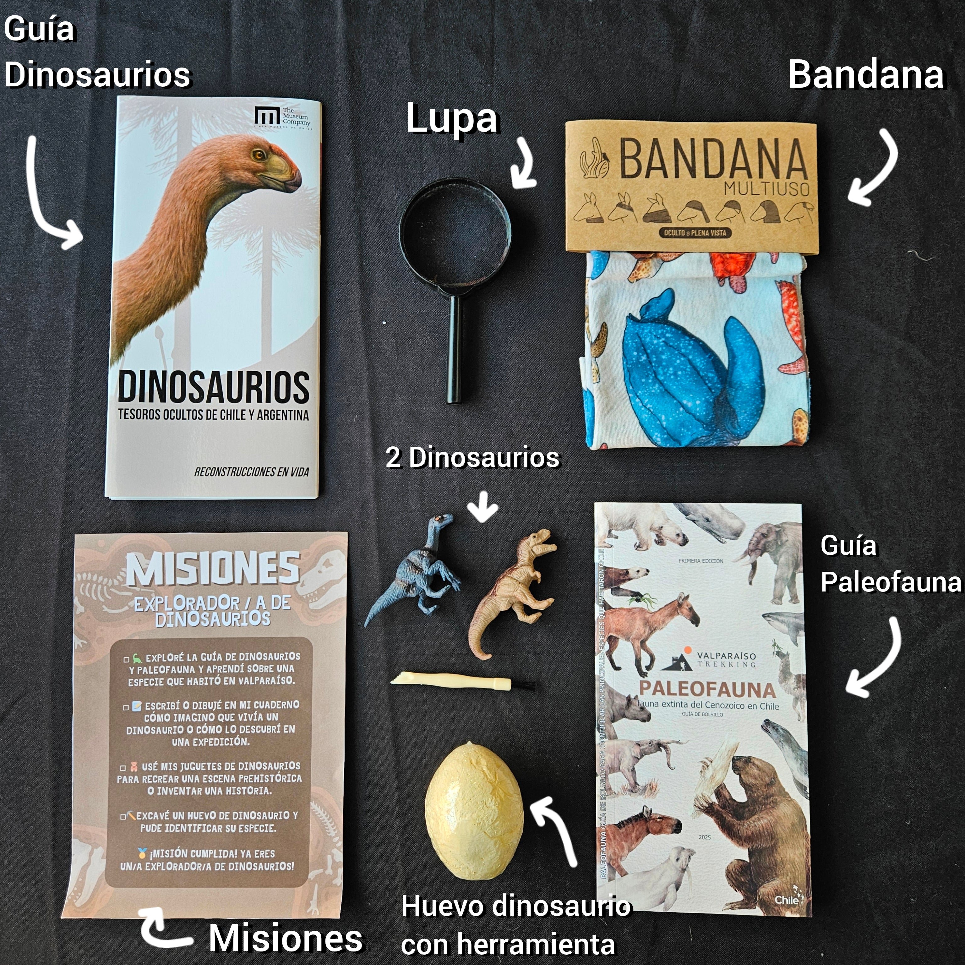 TREKKIDS Pack de Dino explorador/a
