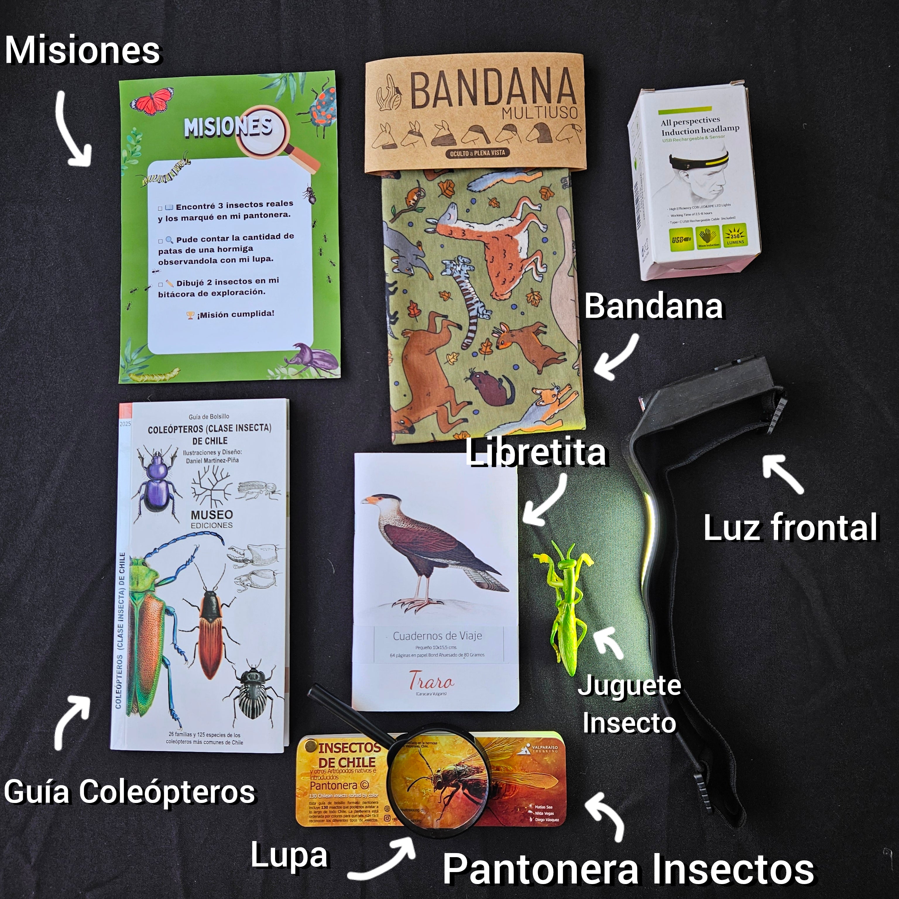 TREKKIDS Pack Explorador/a de Insectos