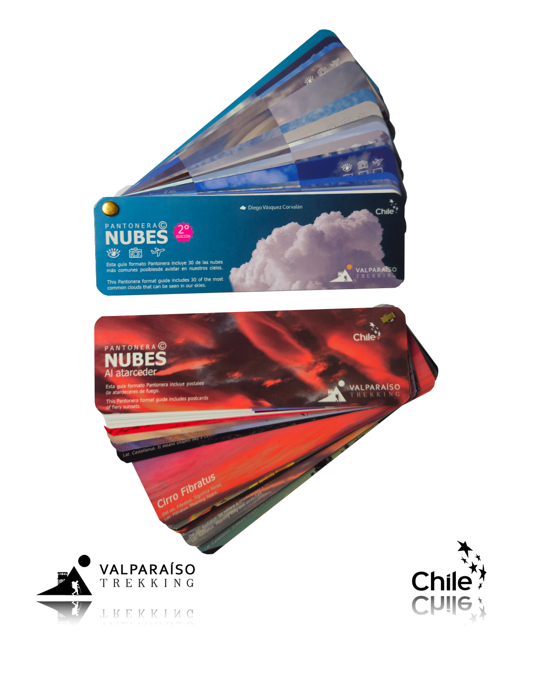 Pack Pantoneras (aves, nubes, bosque, flores, insectos, funga y cetáceos)